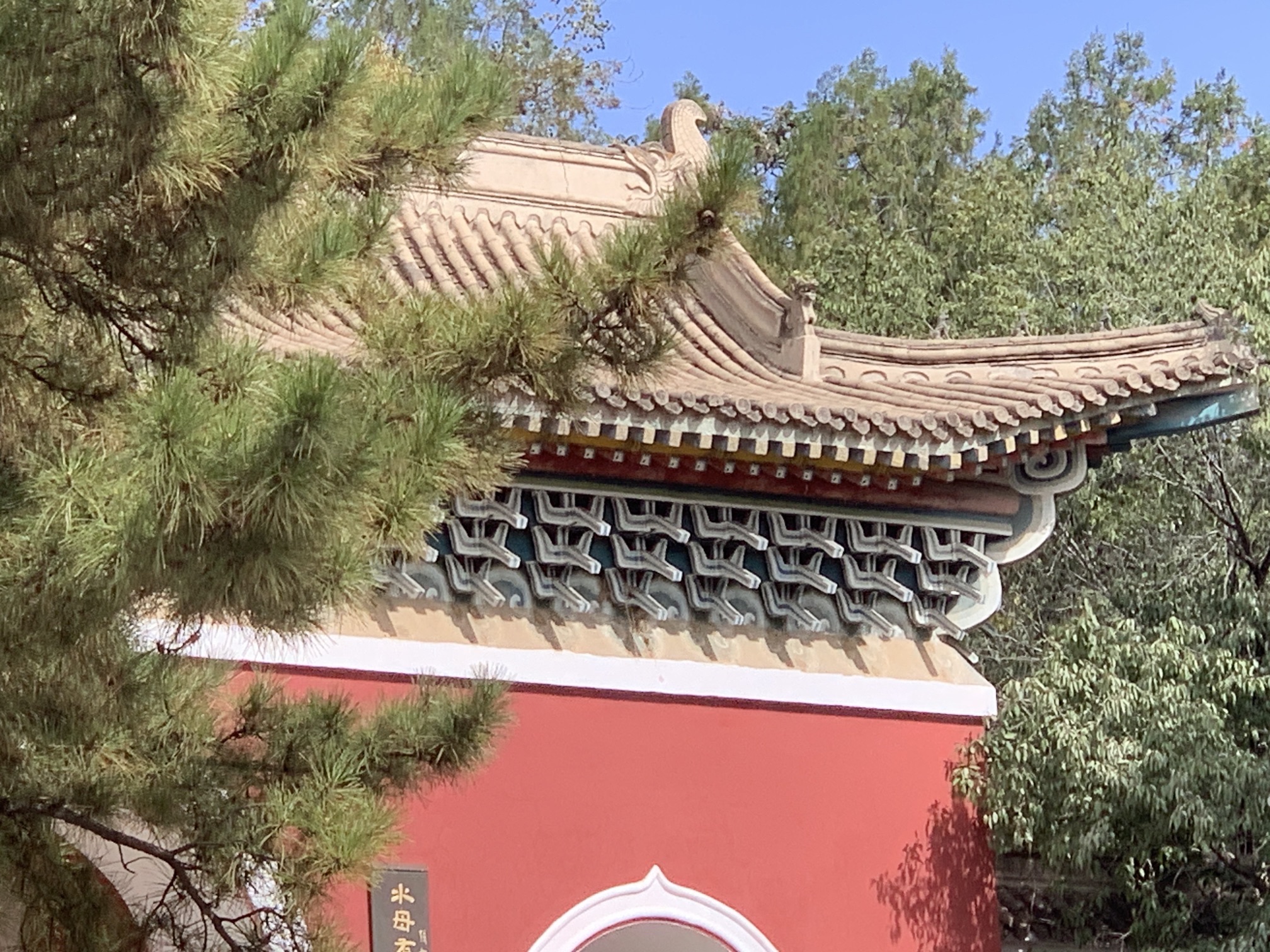 水母宫旅行图片 2