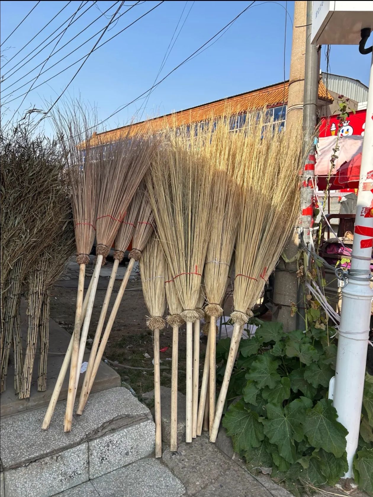 赵川古镇旅行图片 3
