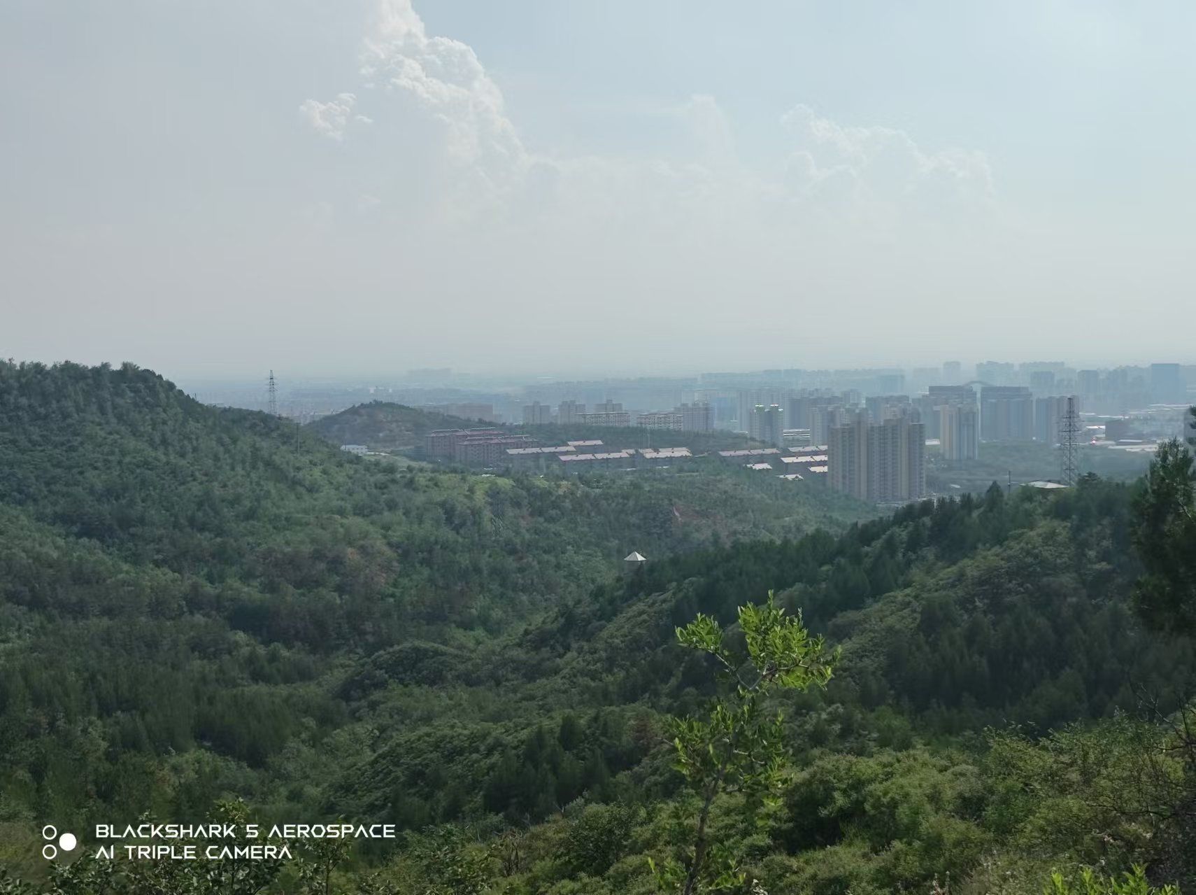 交通生态园旅行图片 1