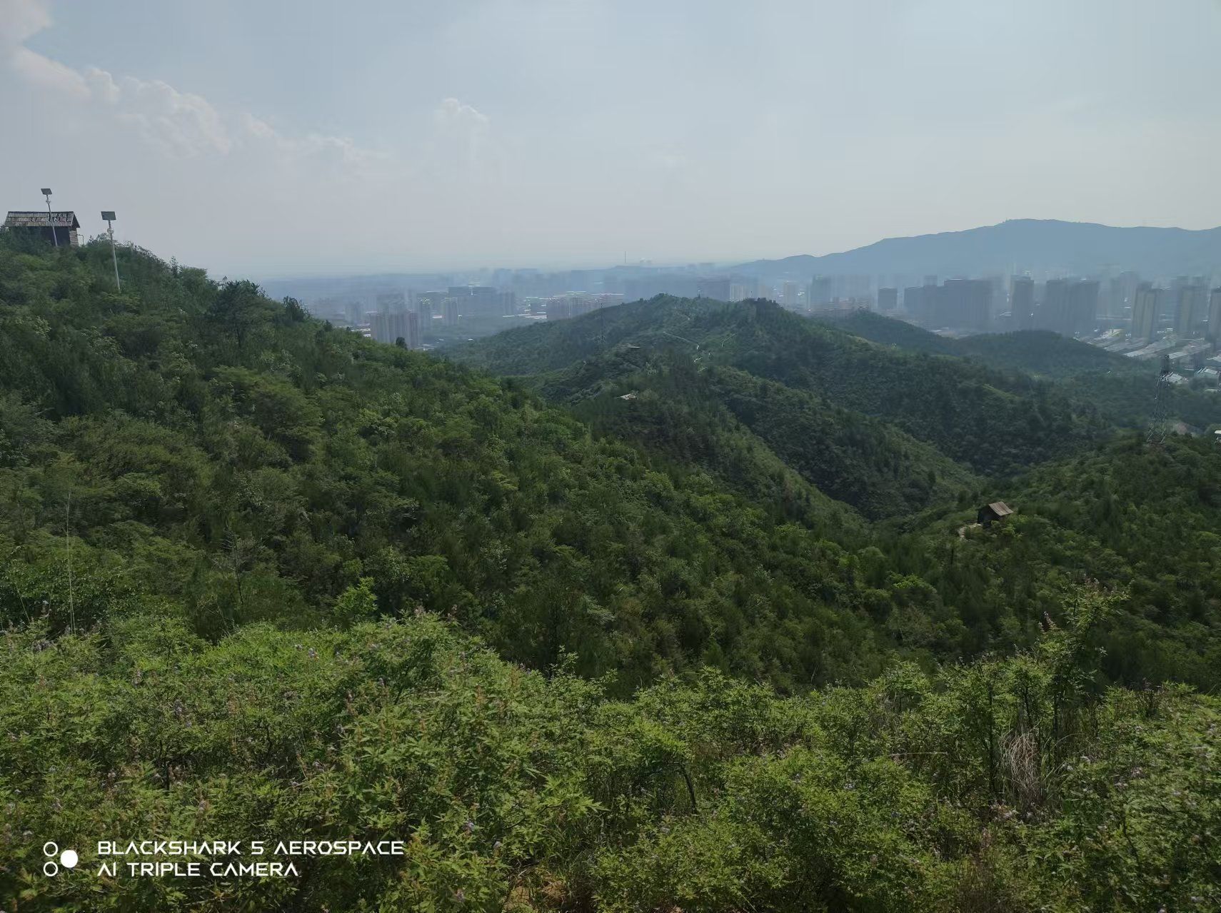 交通生态园旅行图片 3