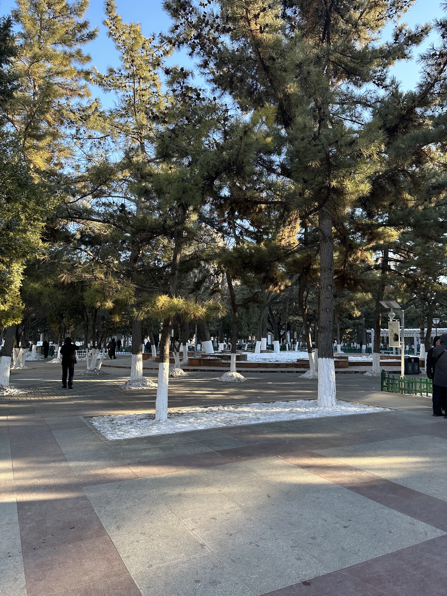 张家口市人民公园旅行图片 3