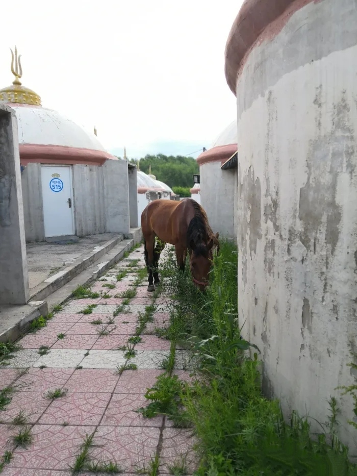 张家口沽水福源度假村旅行图片 3