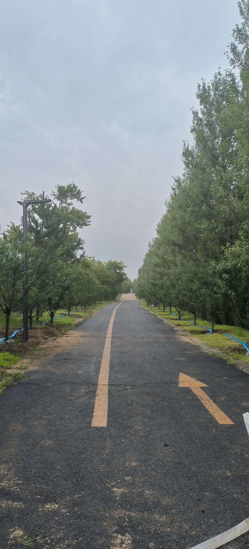 尚义森林公园旅行图片 1