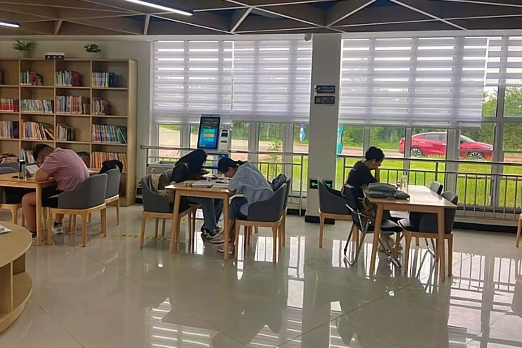 尚义森林公园旅行图片 3