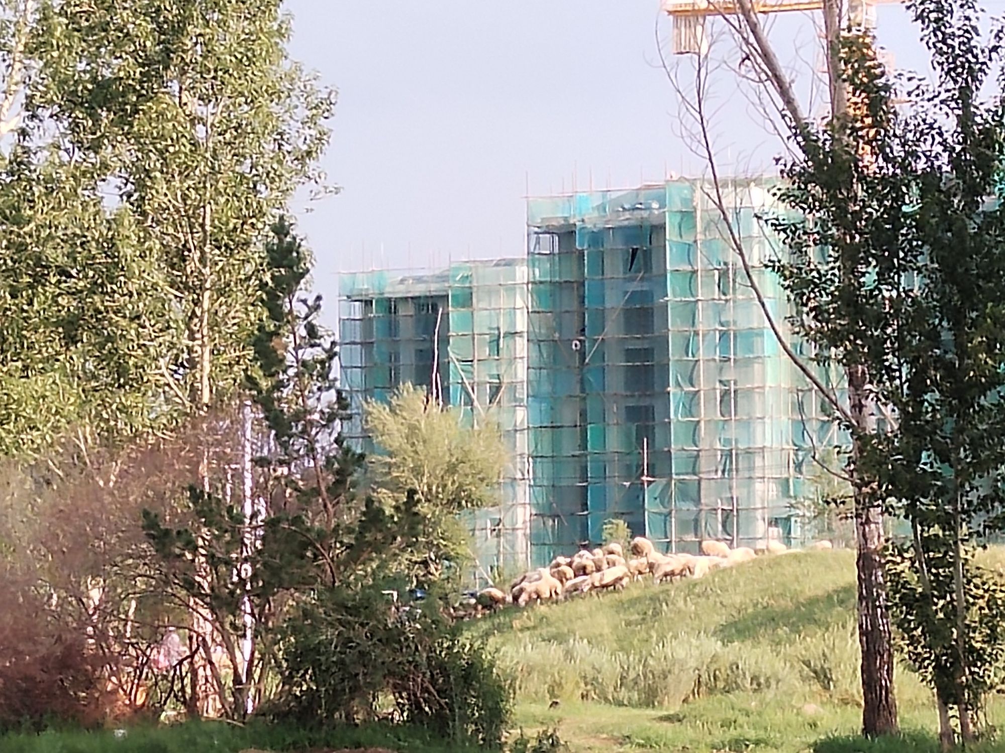 西郊森林公园旅行图片 3