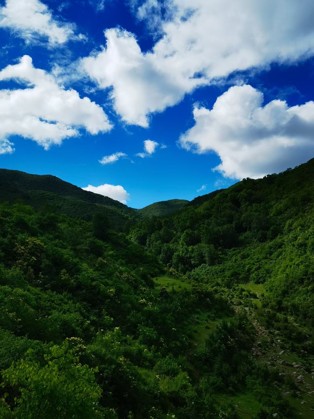 河北省大海陀国家级自然保护区(不对外开放)旅行图片 2