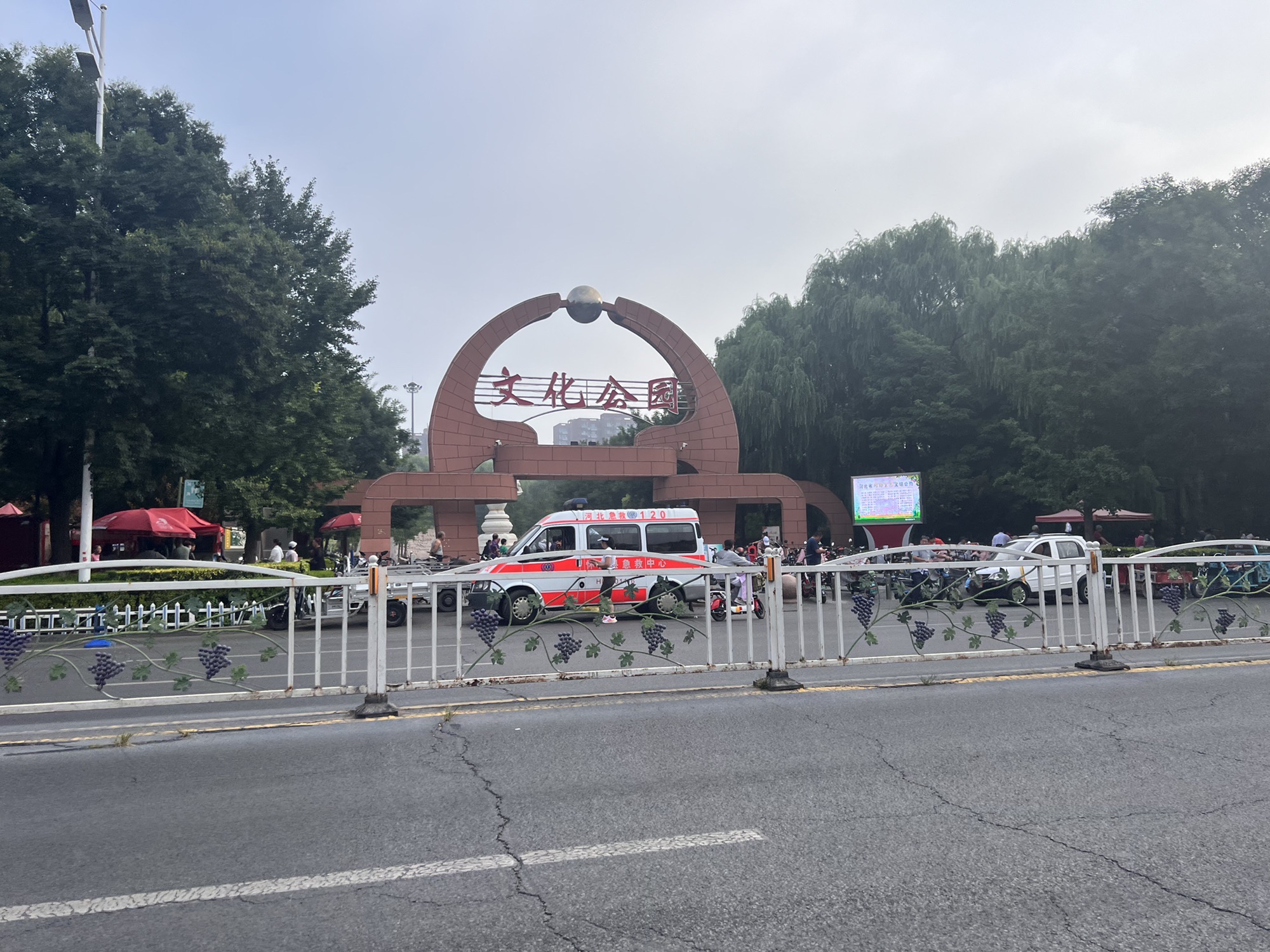 沙城文化公园旅行图片 2