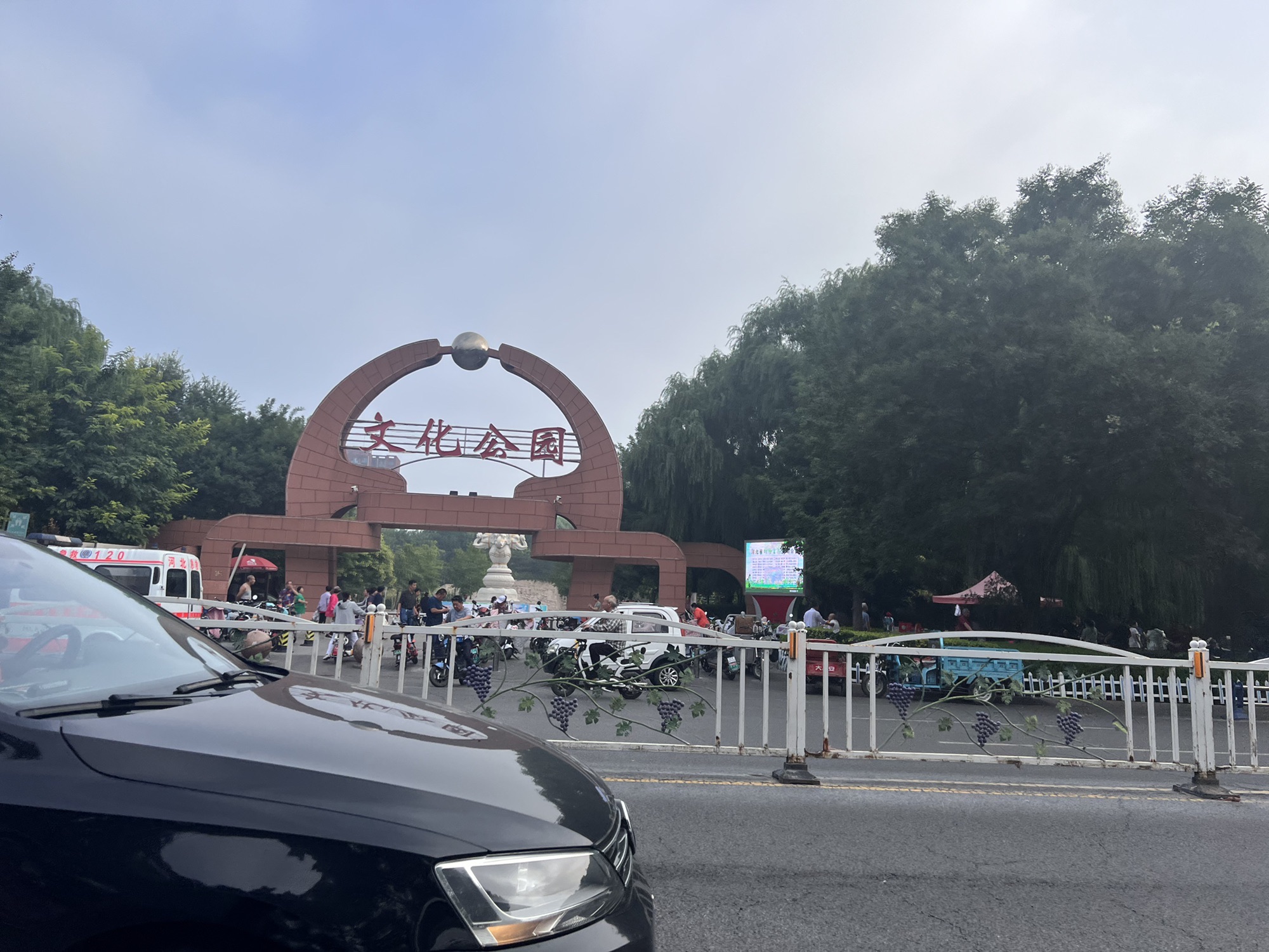 沙城文化公园旅行图片 1