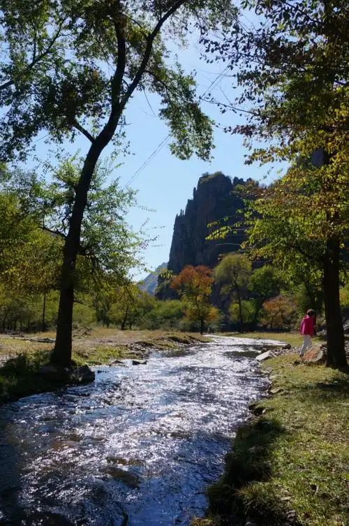 黑龙山森林公园旅行图片 1