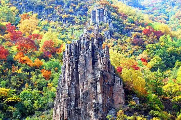 黑龙山森林公园旅行图片 3