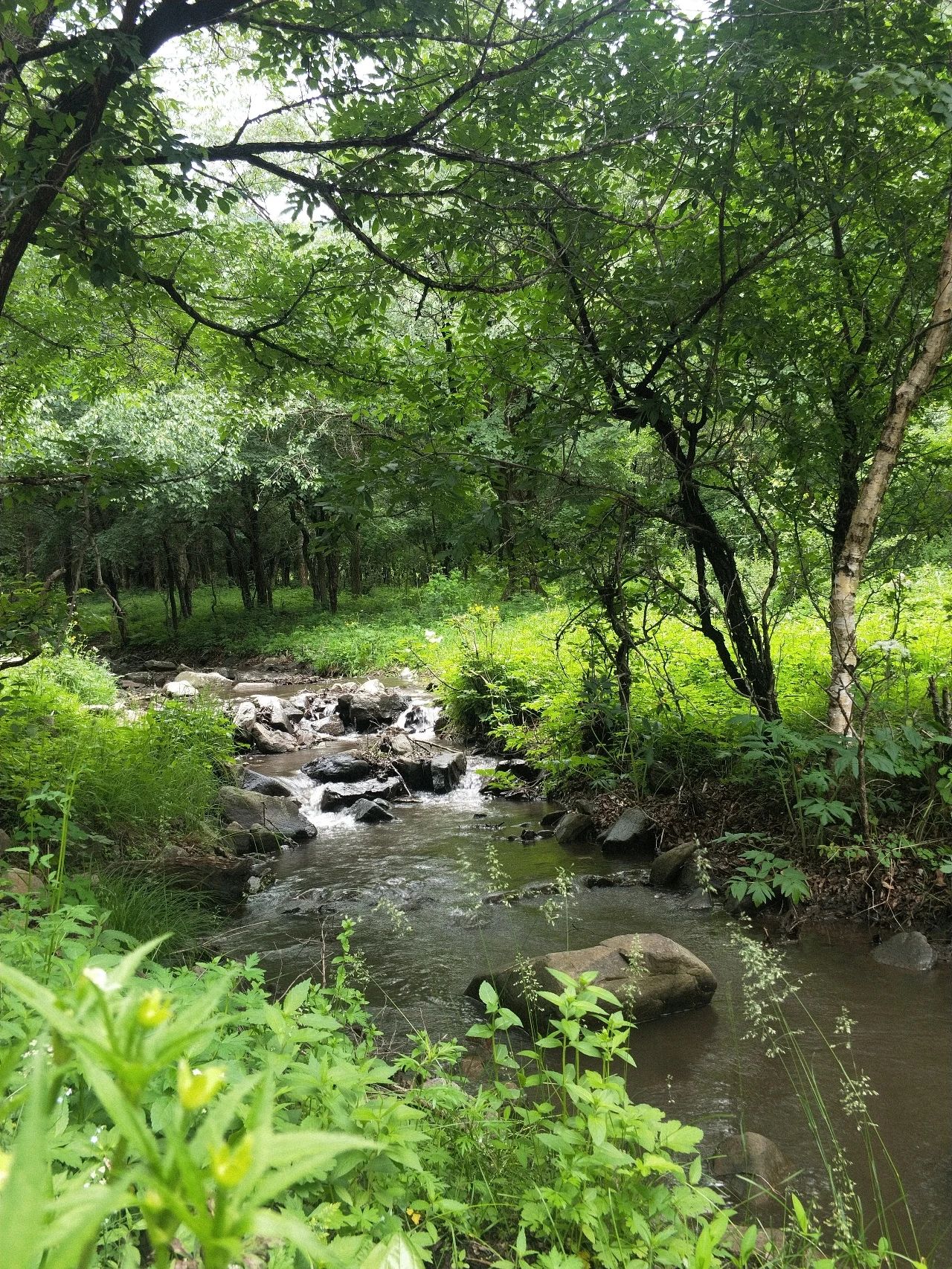 黑龙山森林公园旅行图片 3