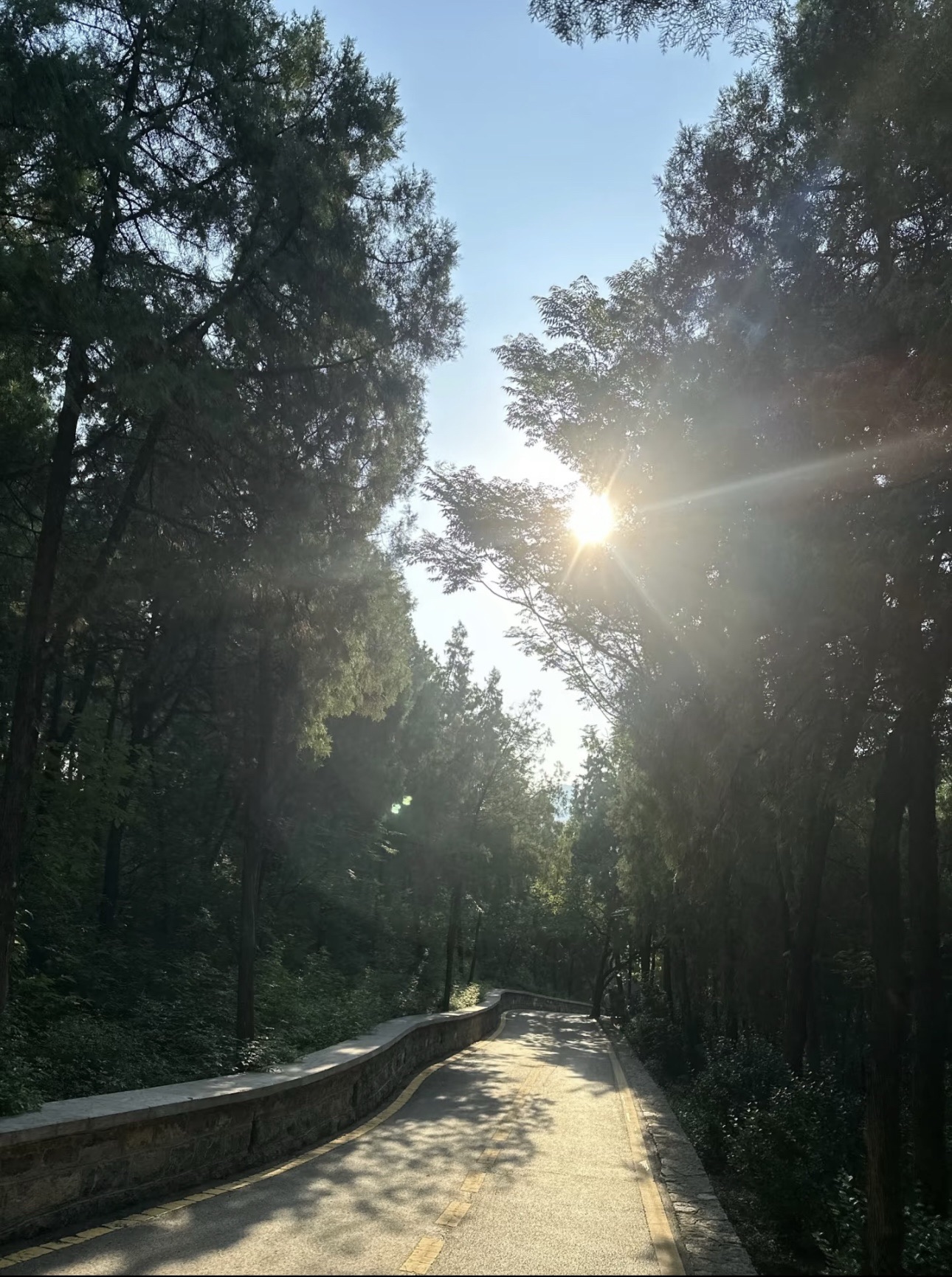 七里山公园旅行图片 2