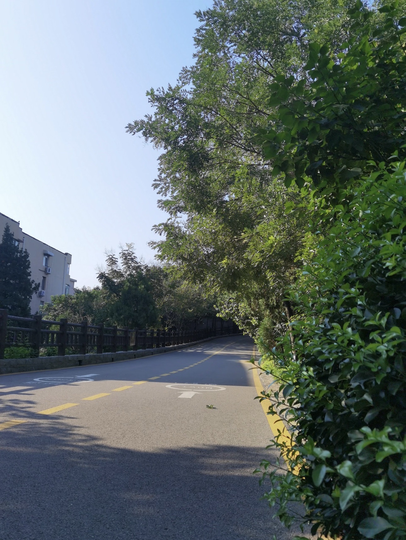 七里山公园旅行图片 1