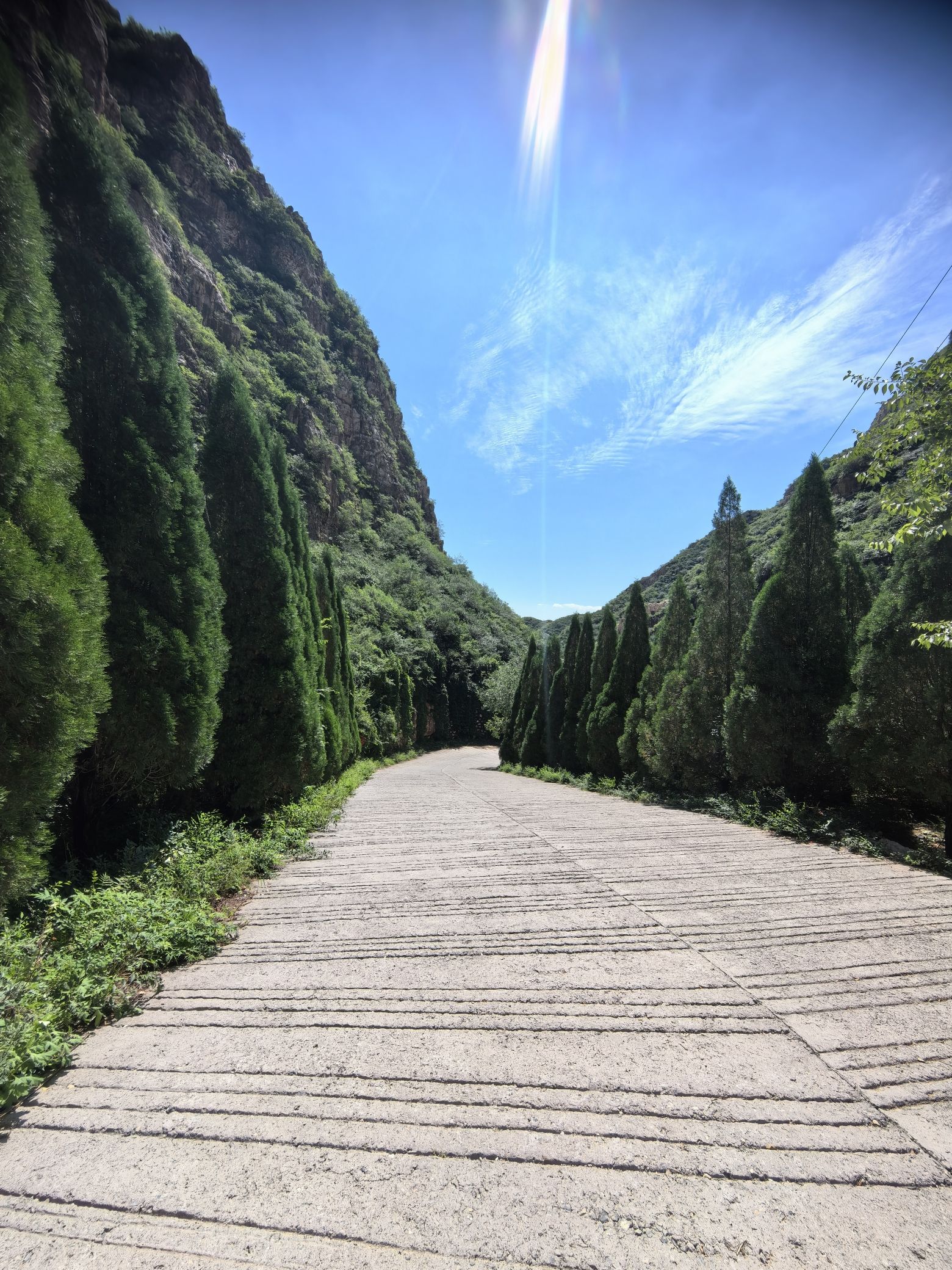 黄羊山国家森林公园(暂停开放)旅行图片 3
