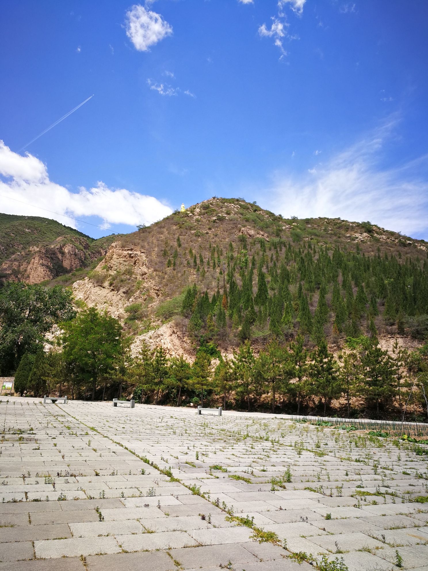 黄羊山国家森林公园