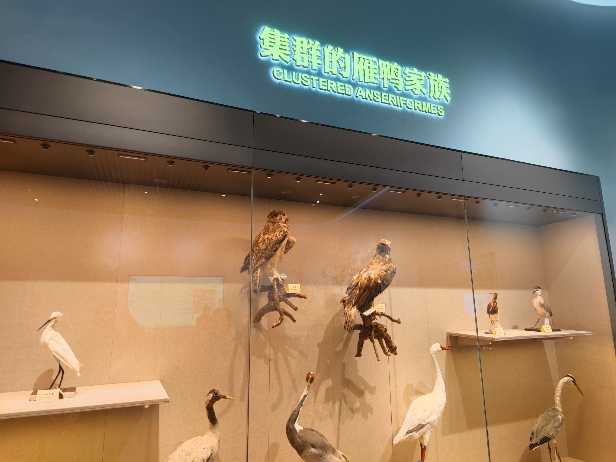 黄羊山国家森林公园(暂停开放)旅行图片 2