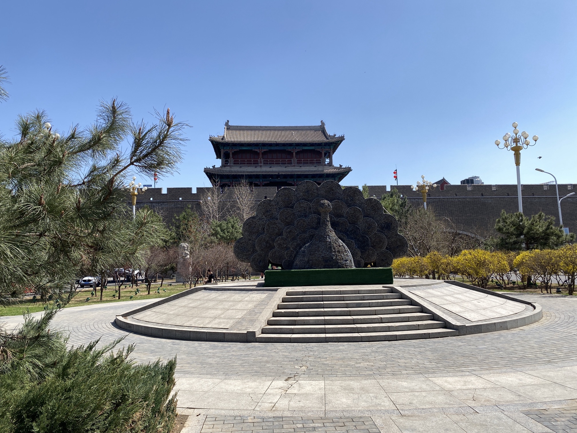 大新门旅行图片 3