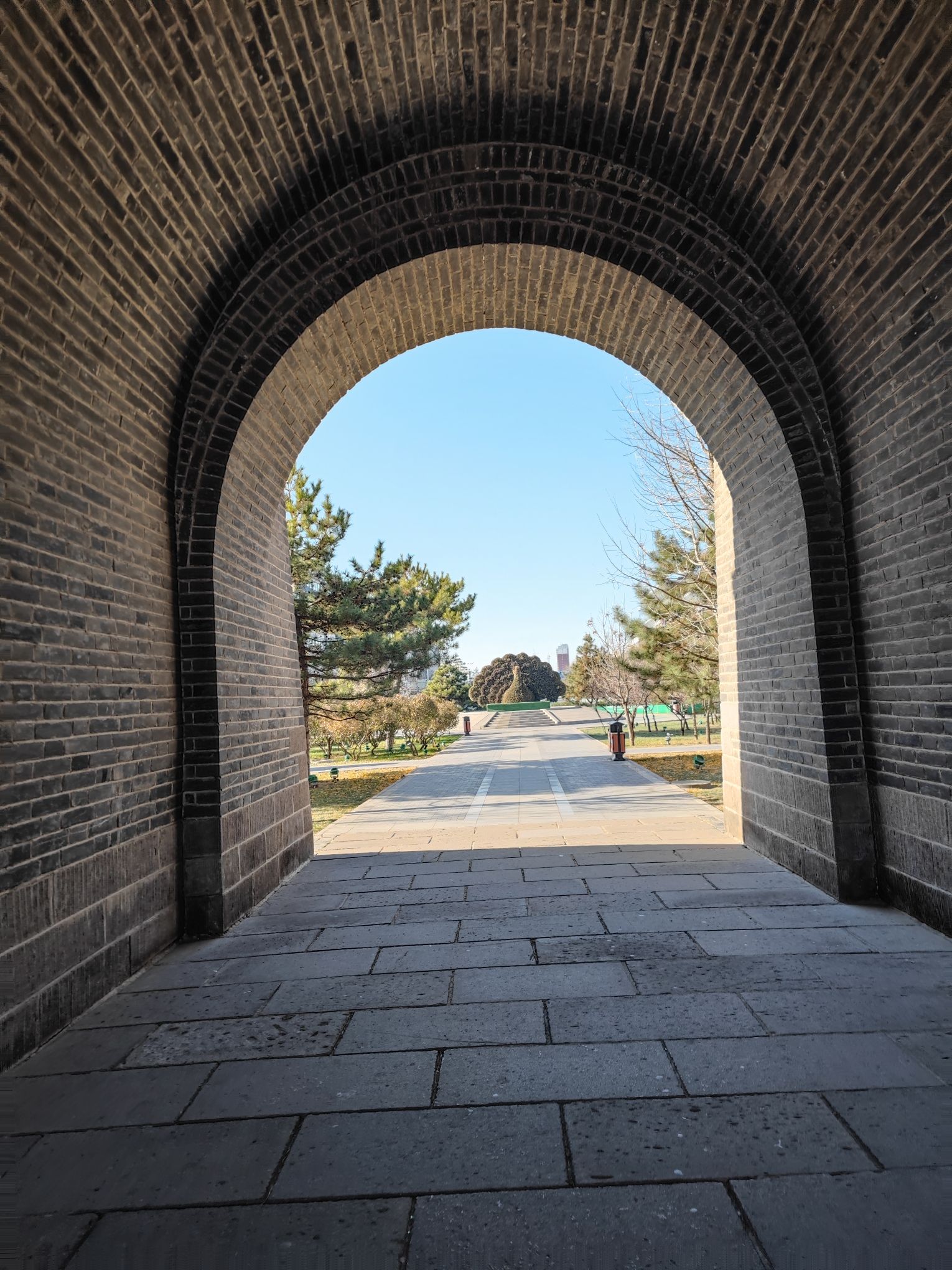大新门旅行图片 3