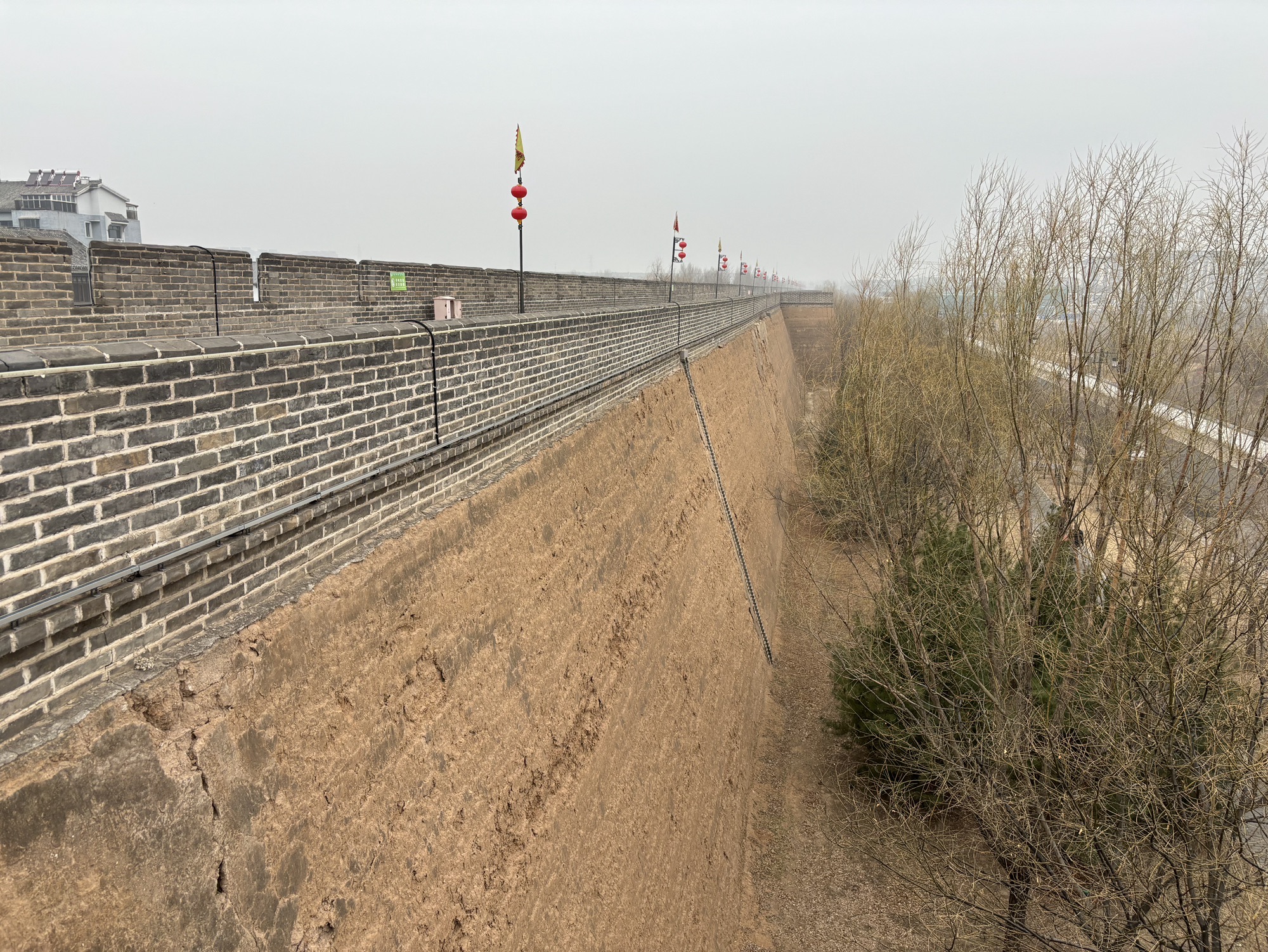大新门旅行图片 3