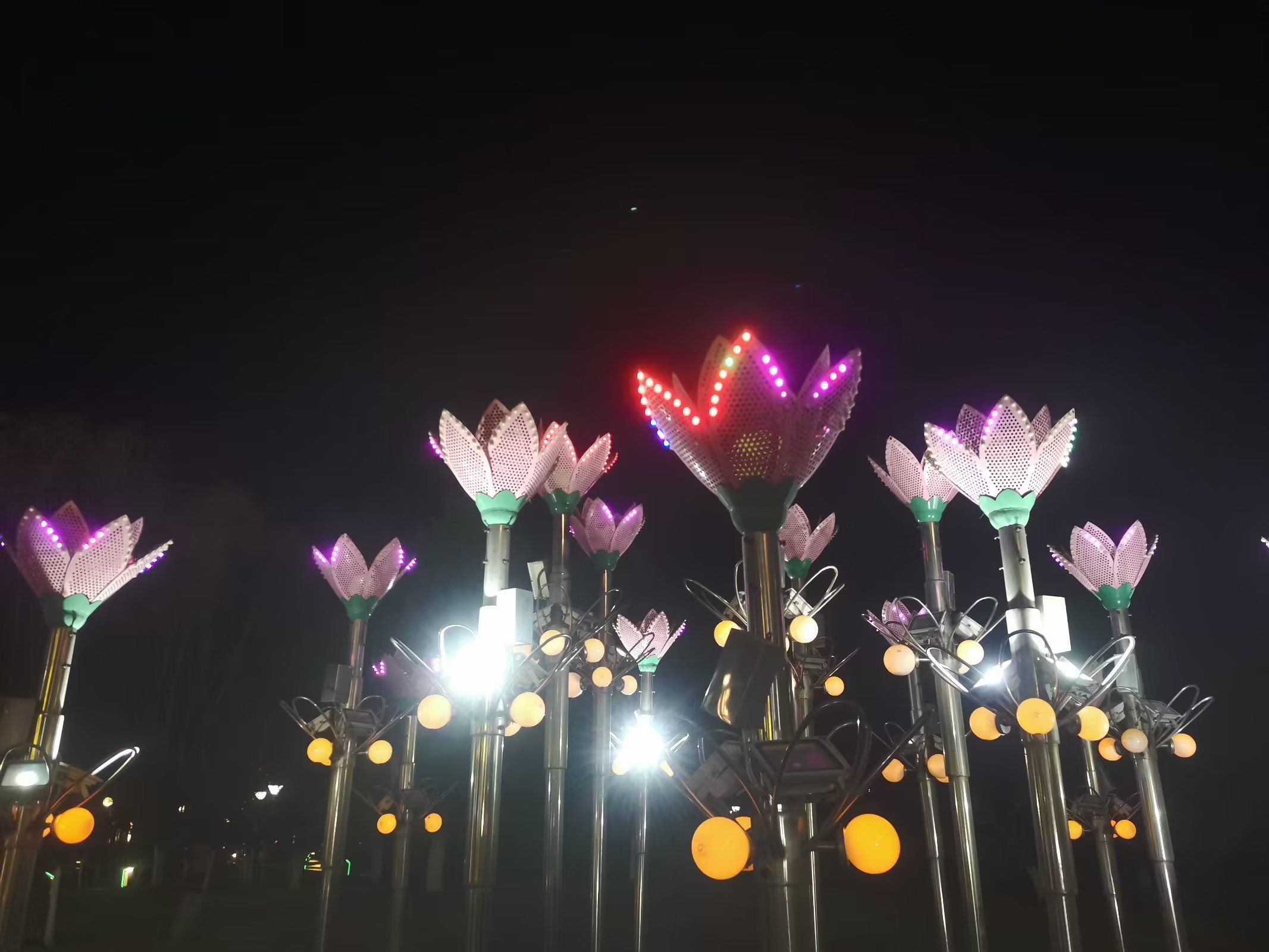 市民广场旅行图片 1