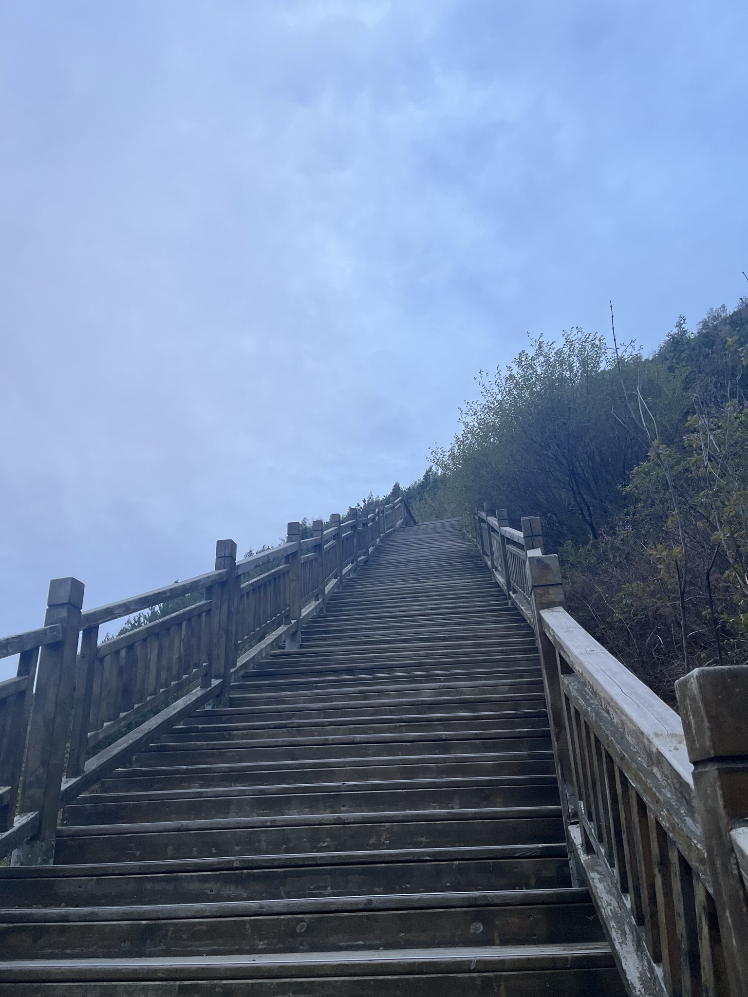 七一广场旅行图片 1