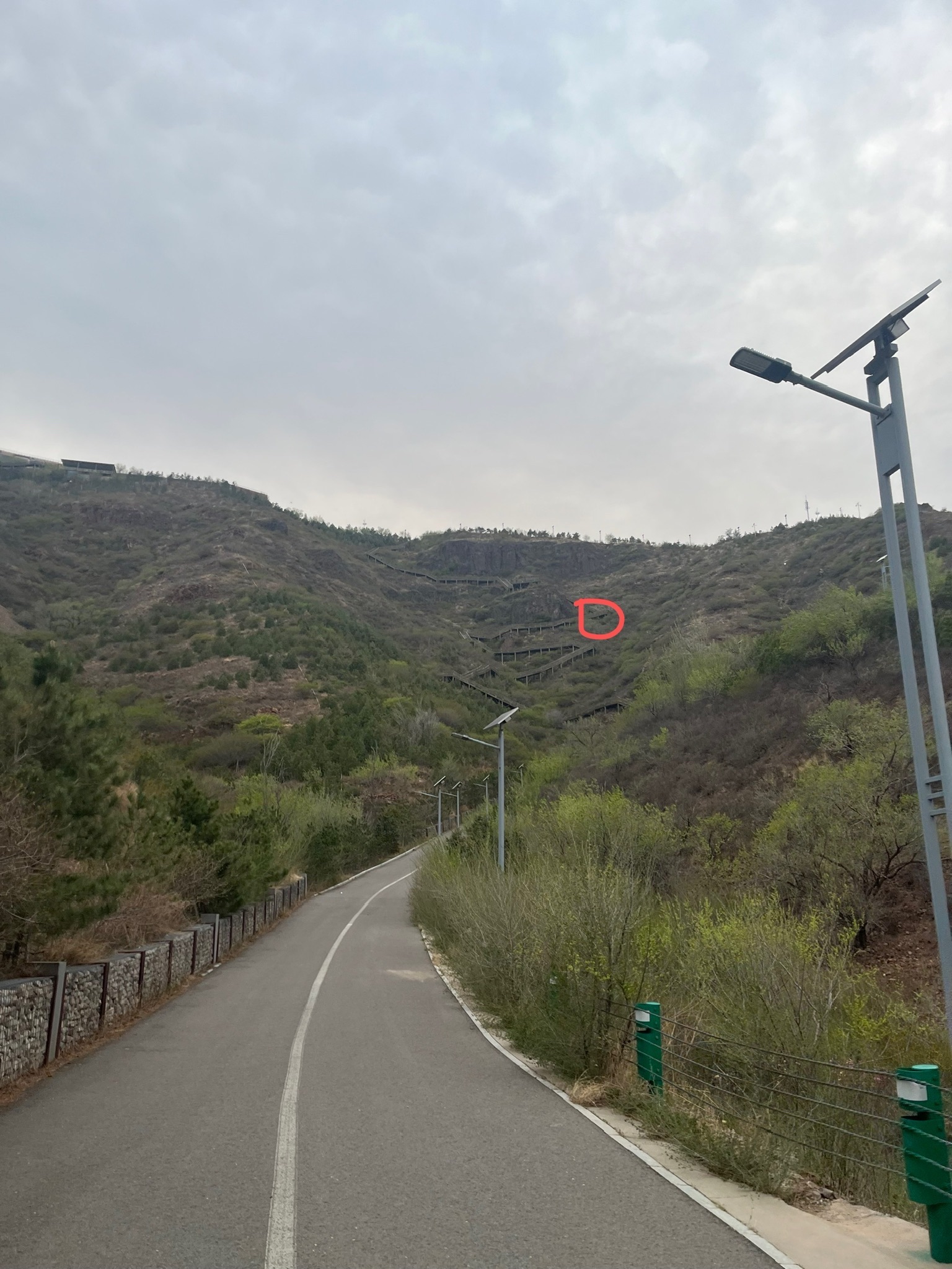 七一广场旅行图片 3