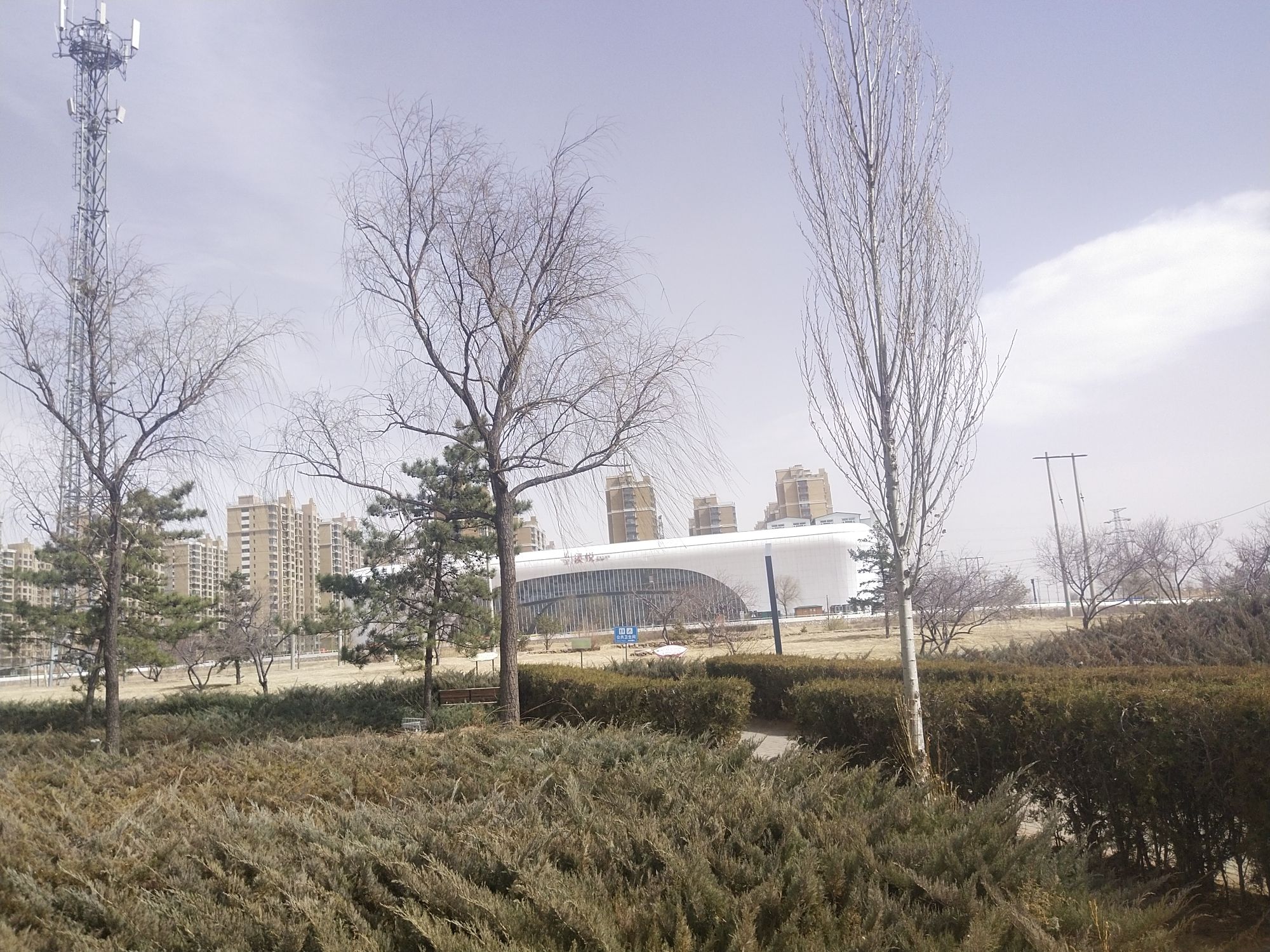 人民公园旅行图片 3
