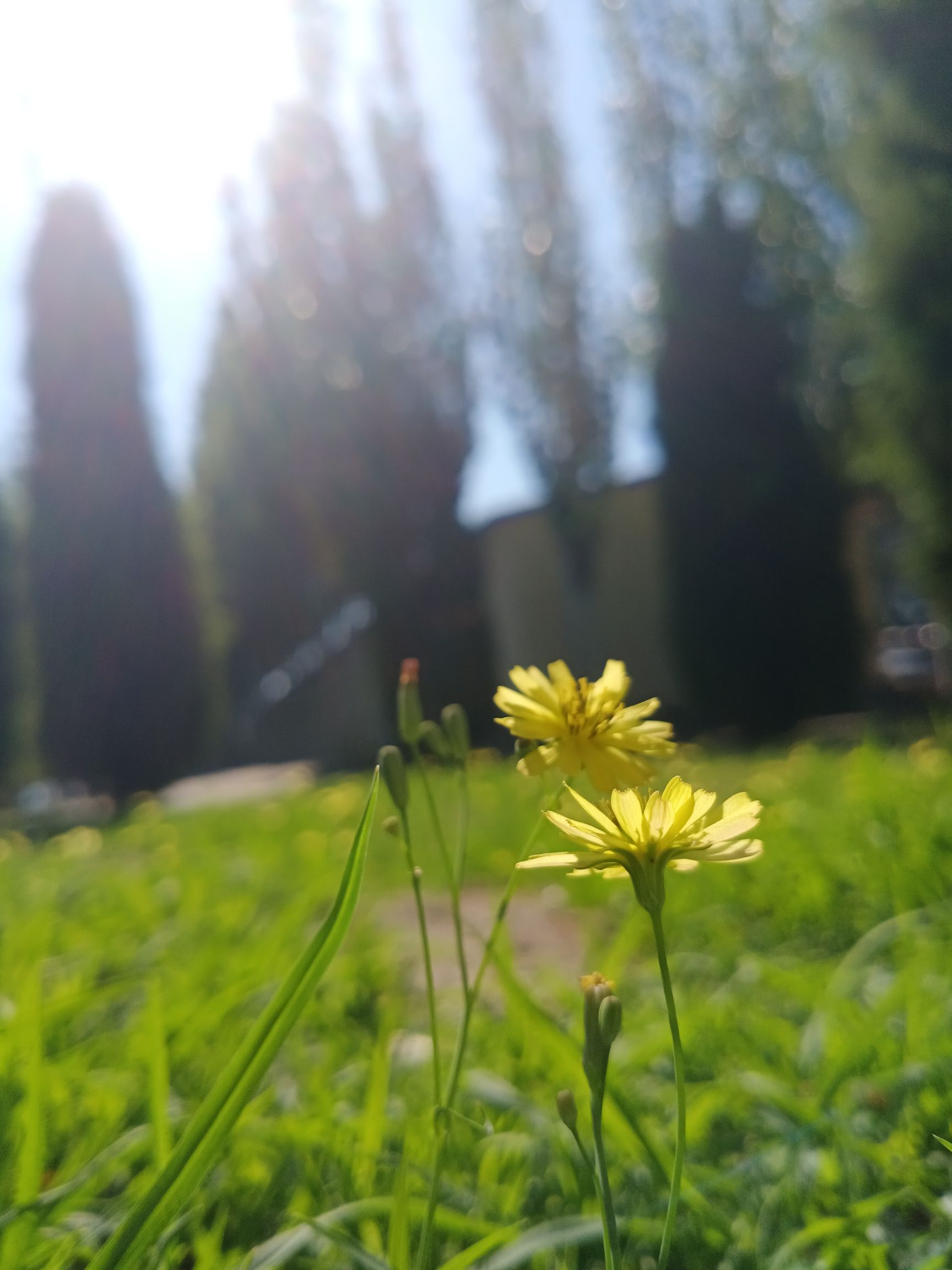 东环公园旅行图片 1
