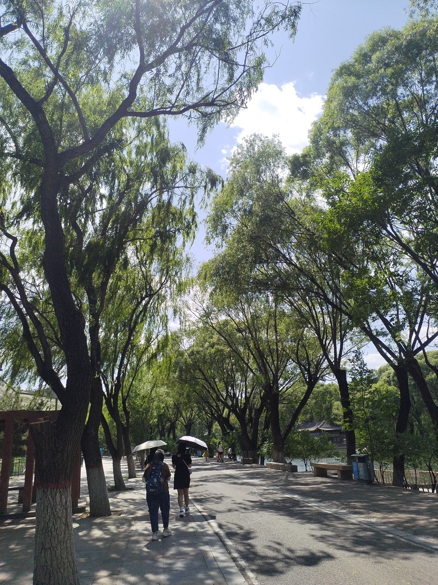 涿鹿人民公园旅行图片 1