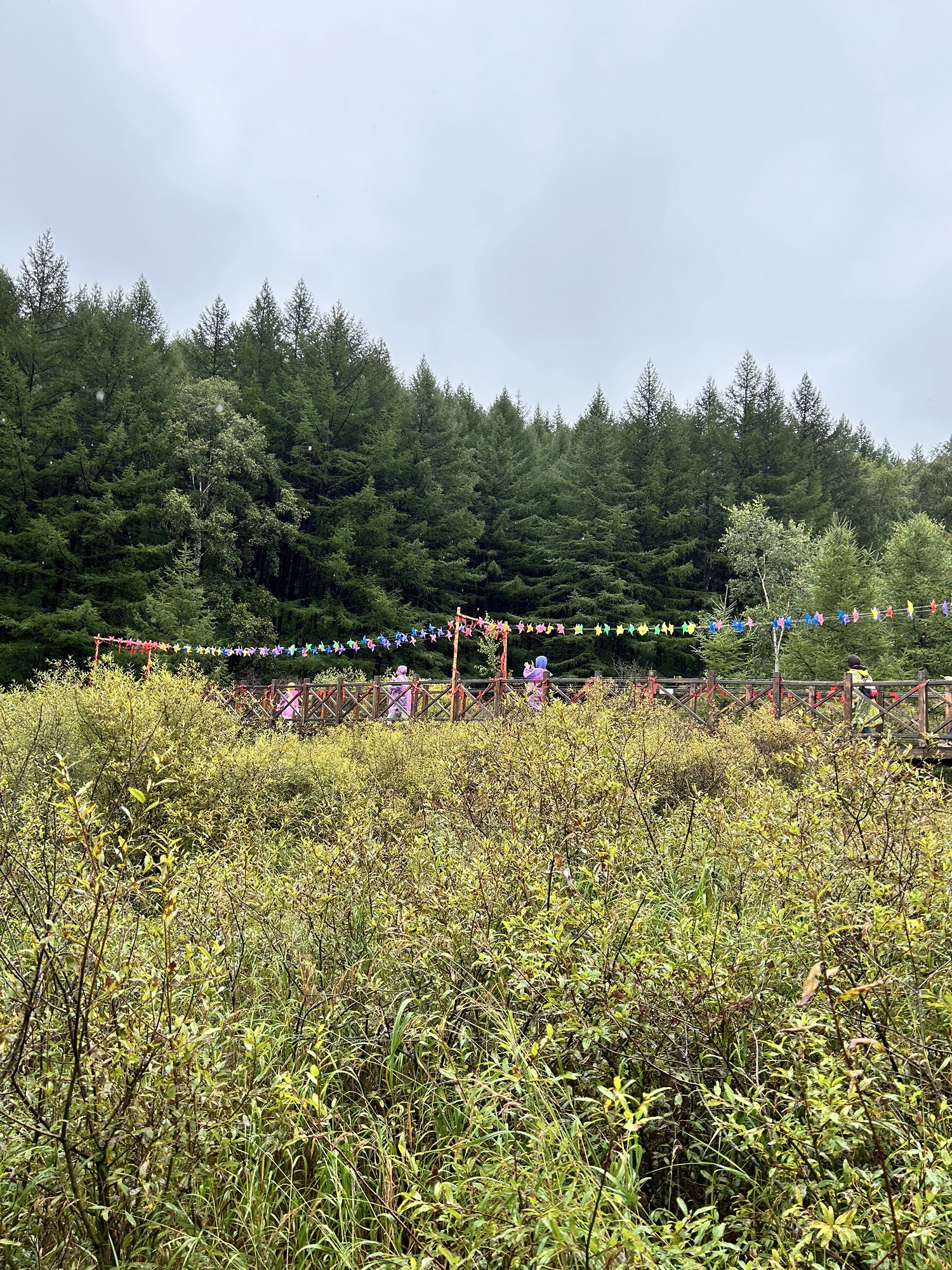 翠云山森林风景区旅行图片 3