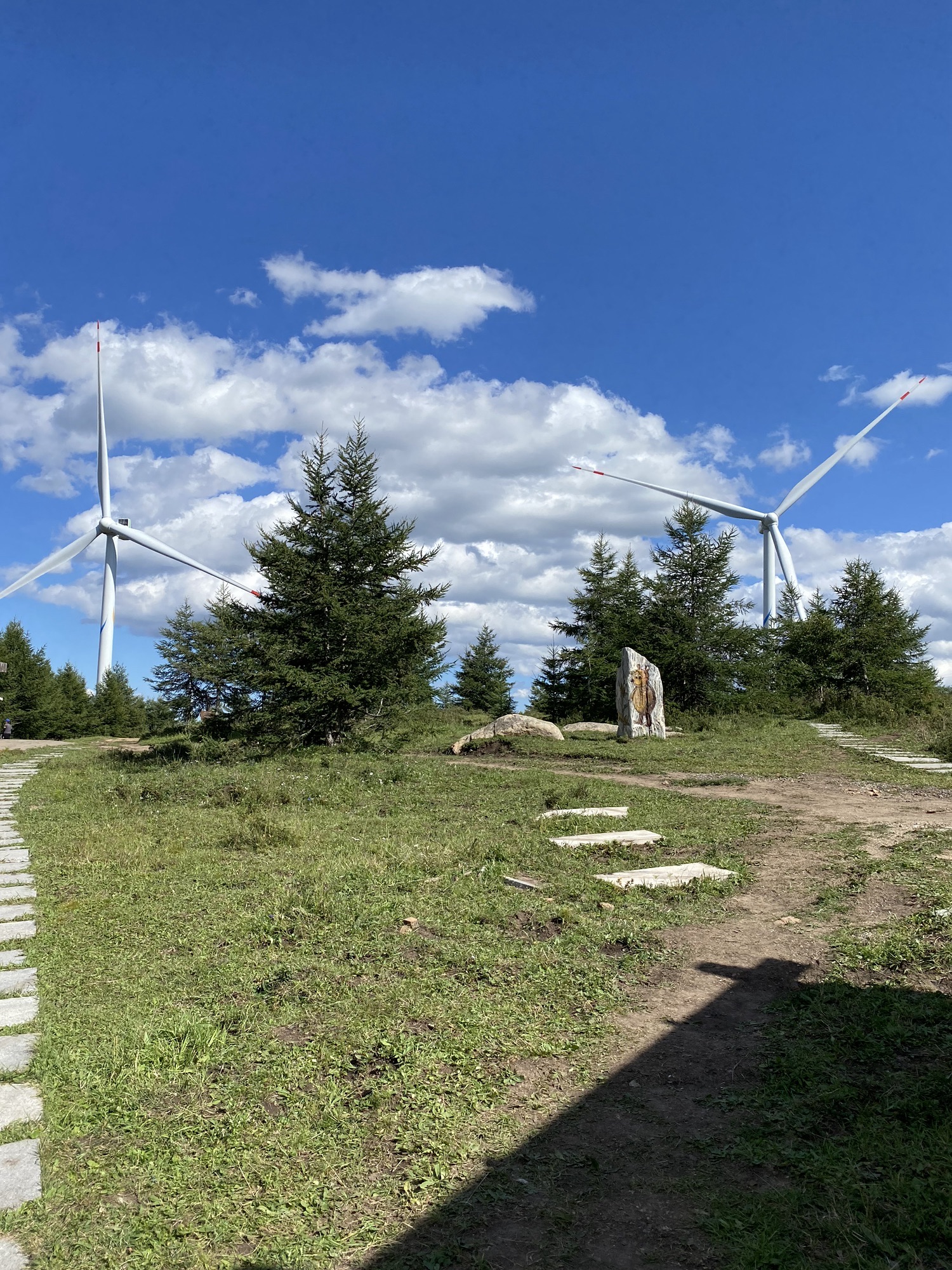 翠云山森林风景区旅行图片 3