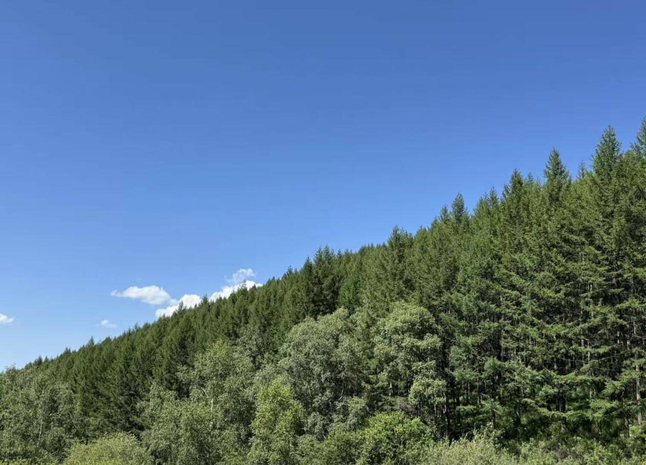 翠云山森林风景区旅行图片 1