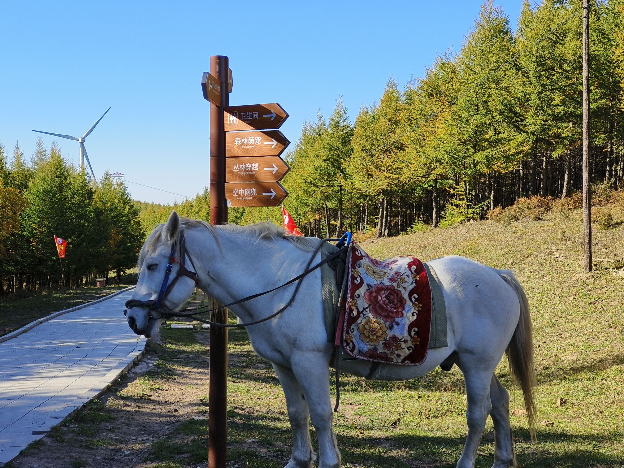 翠云山森林风景区旅行图片 1