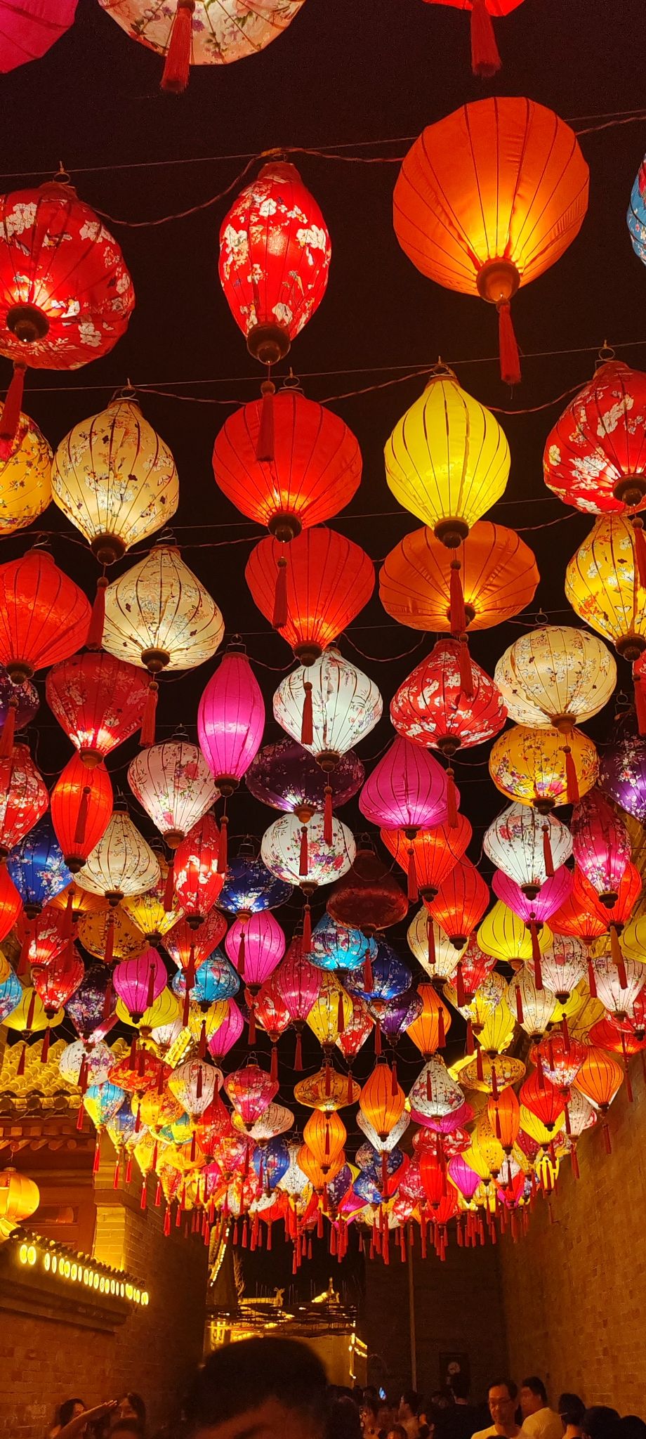 蔚州署旅行图片 2