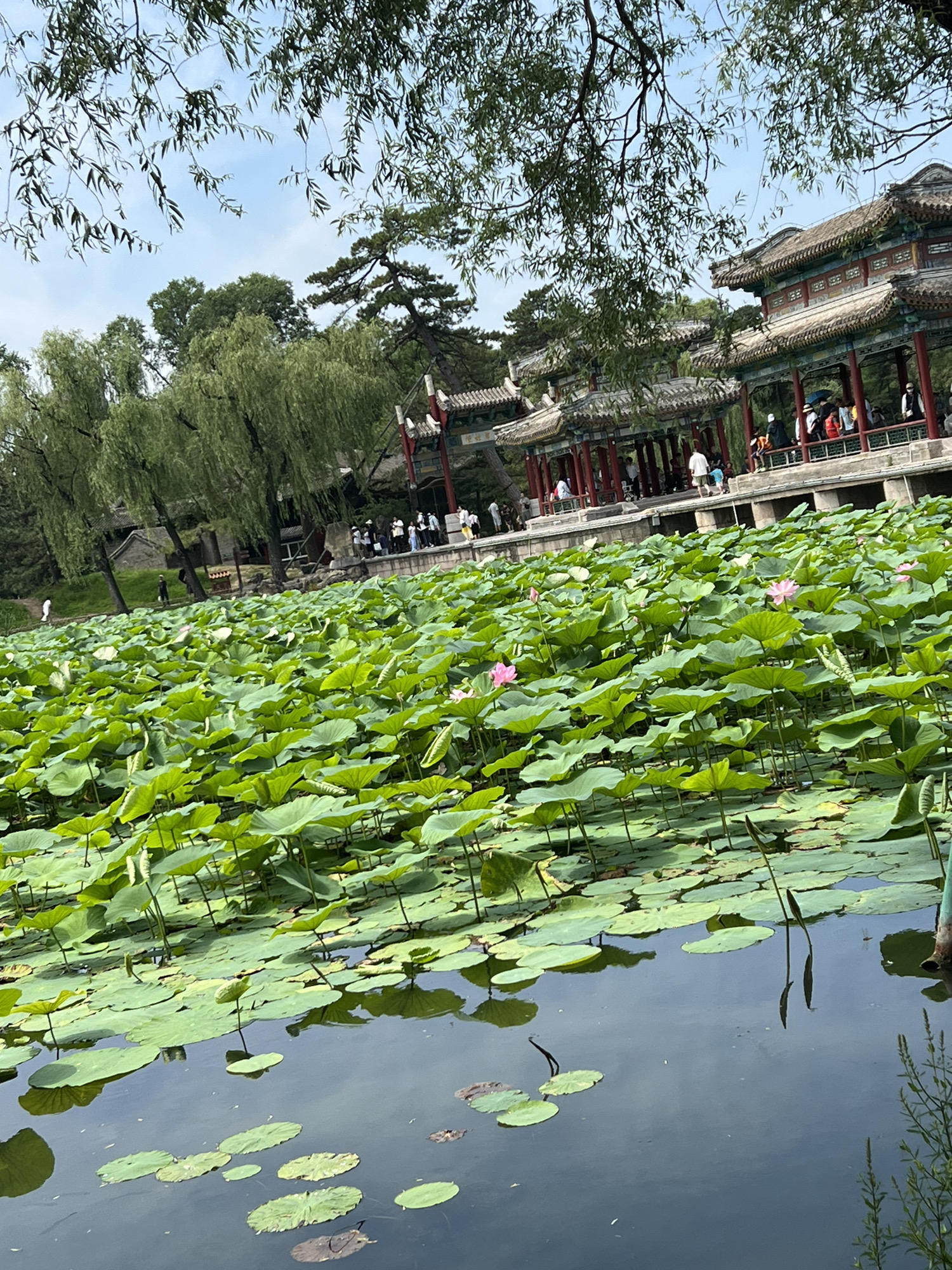 承德避暑山庄旅行图片 3