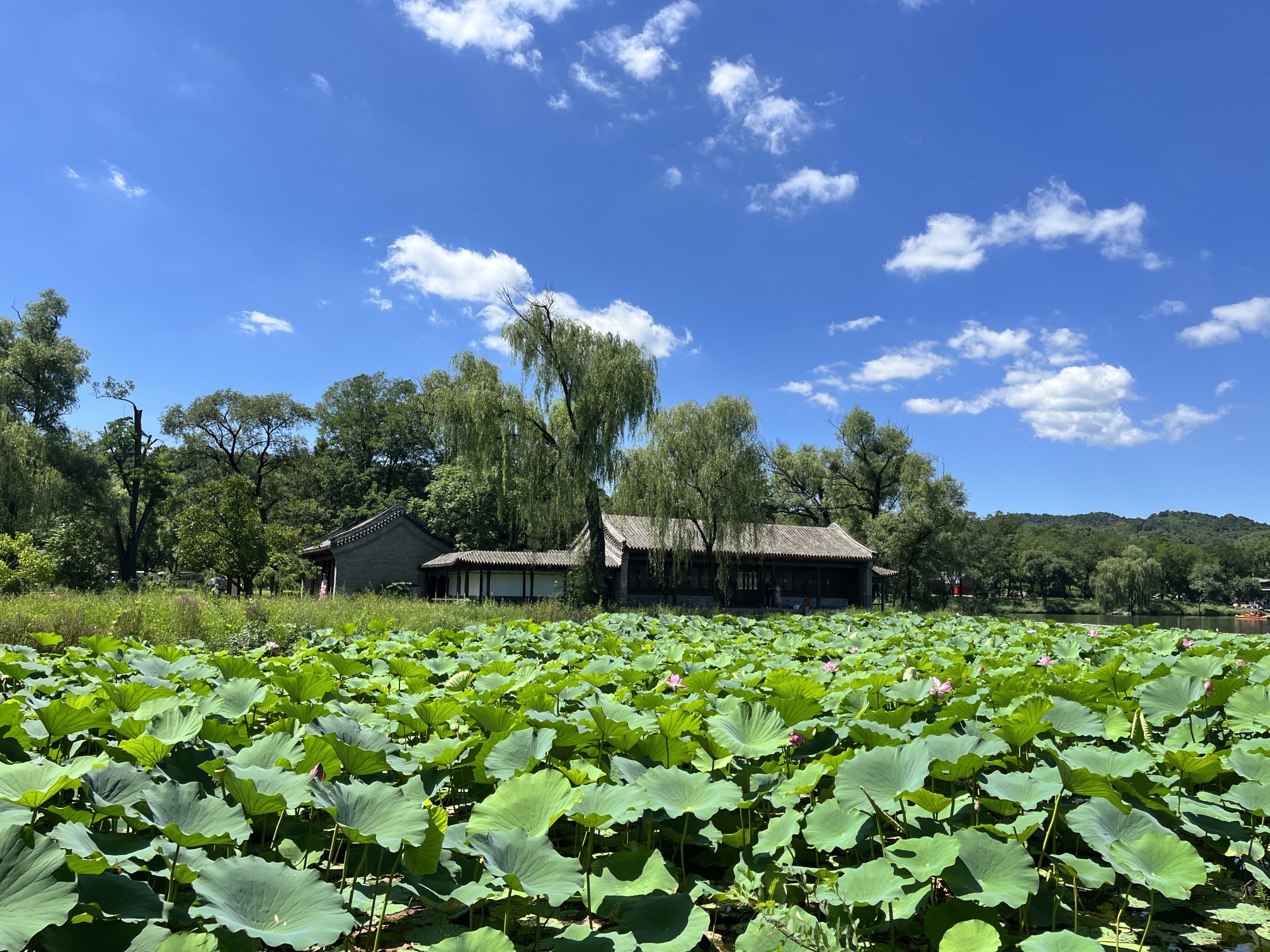 承德避暑山庄旅行图片 1