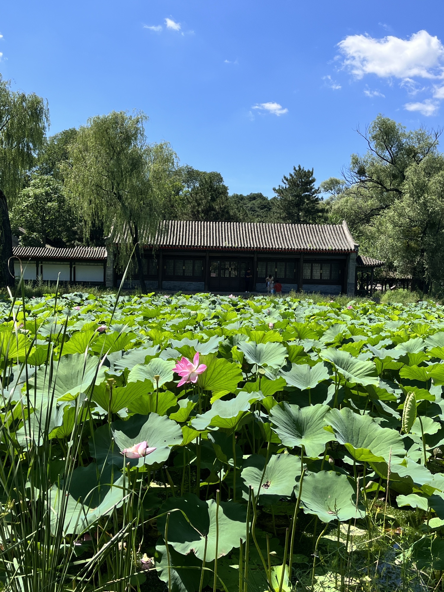 承德避暑山庄旅行图片 2