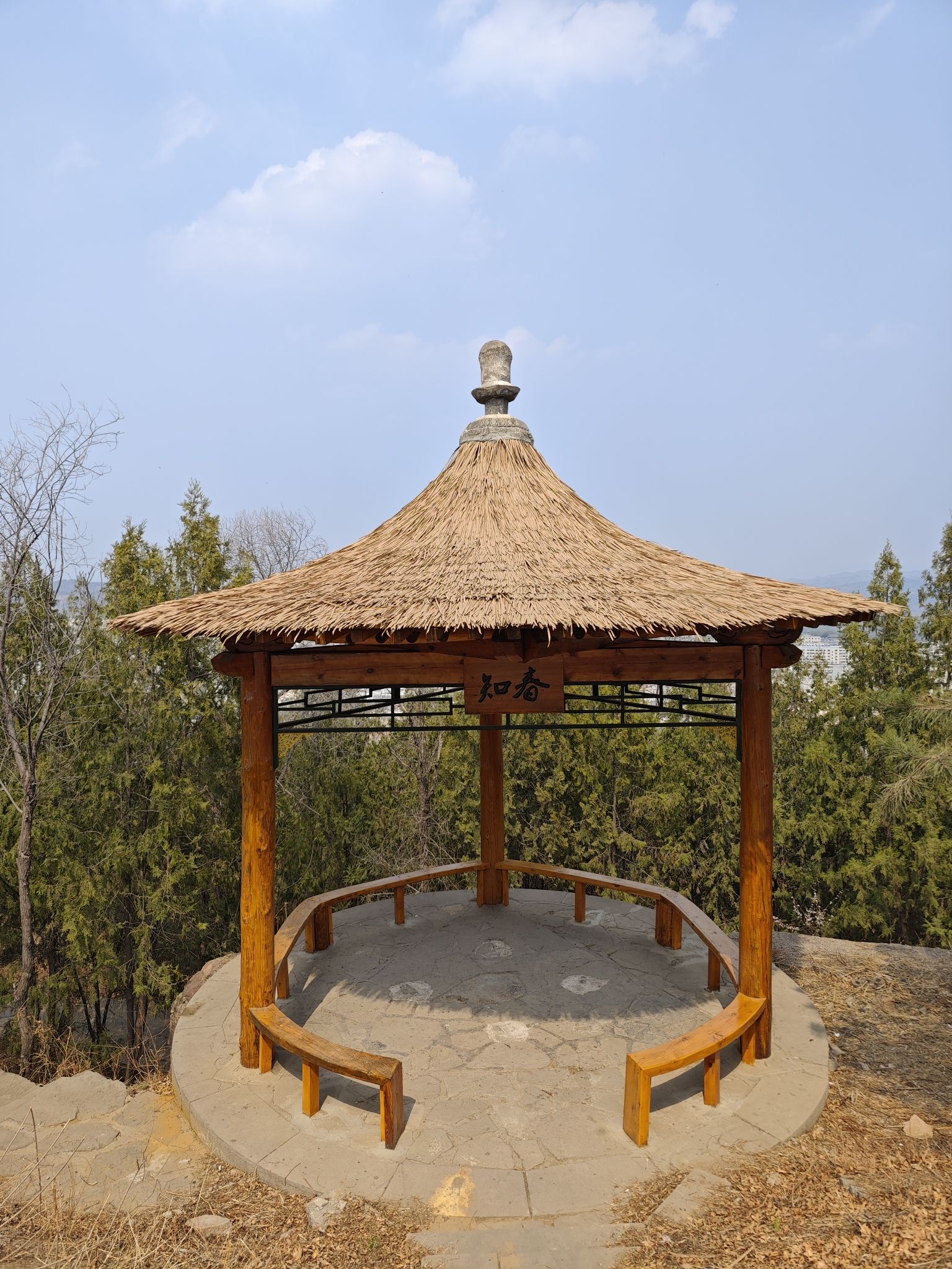 佟山公园旅行图片 1