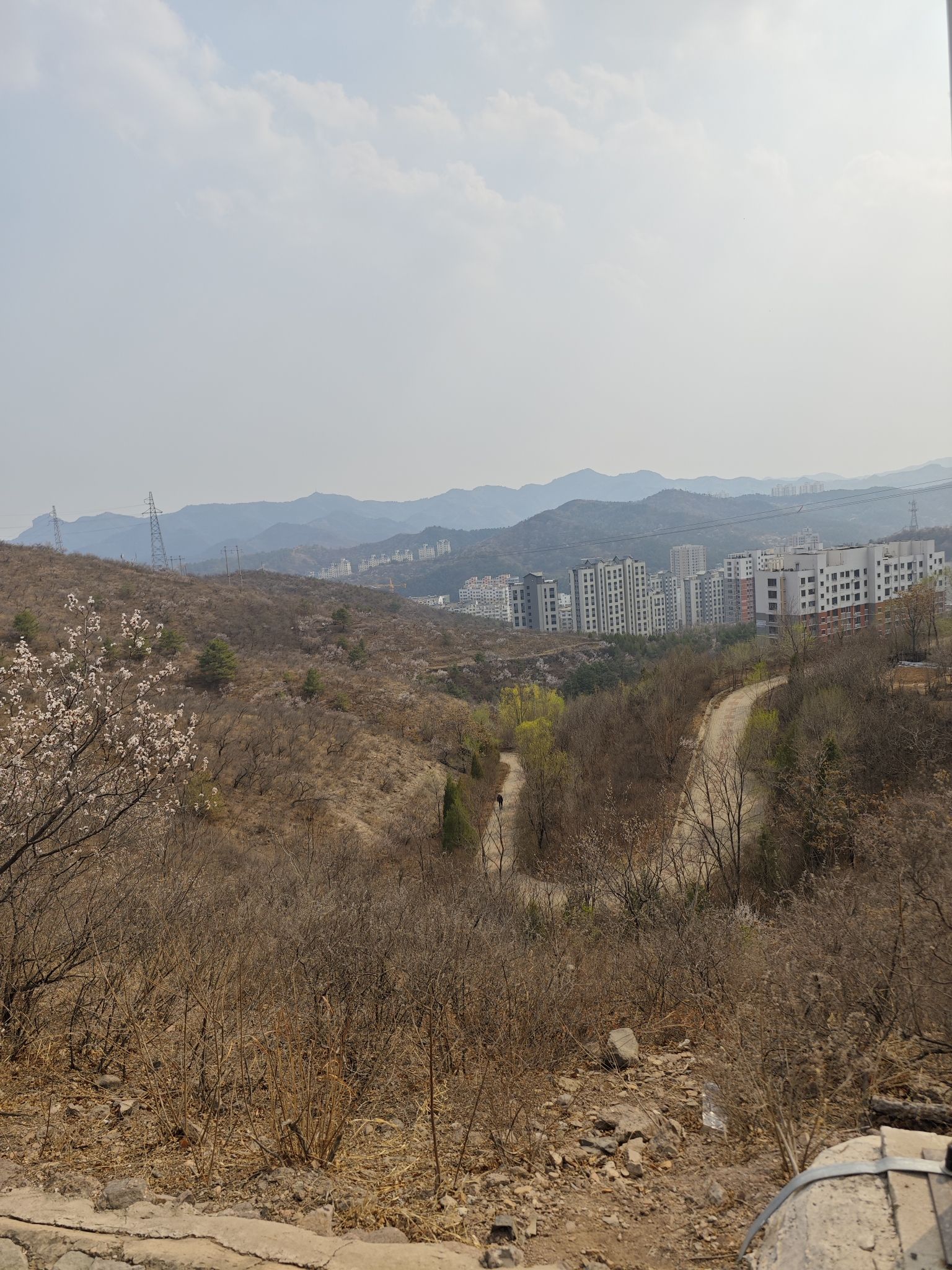 佟山公园旅行图片 3