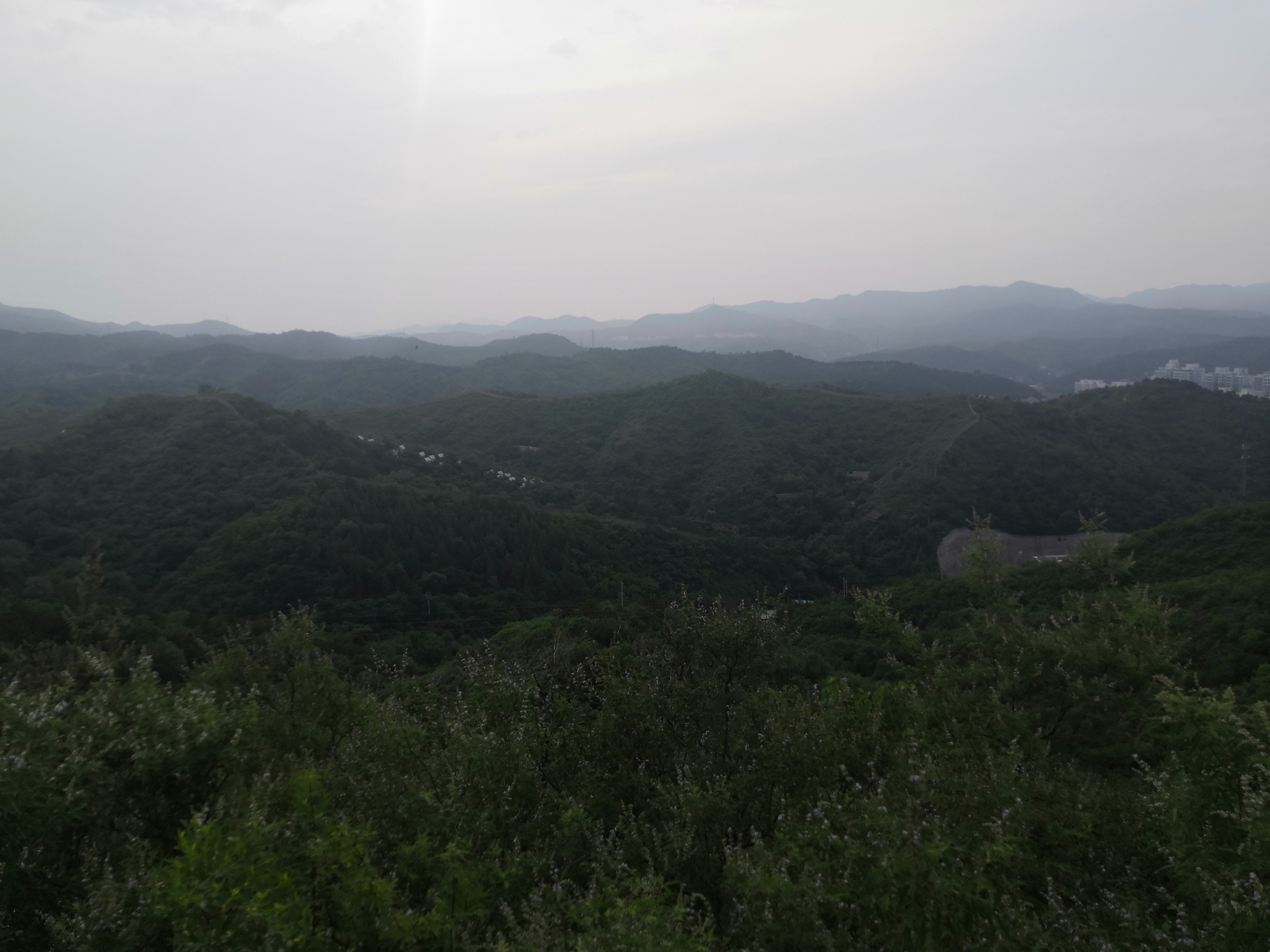 佟山公园旅行图片 2