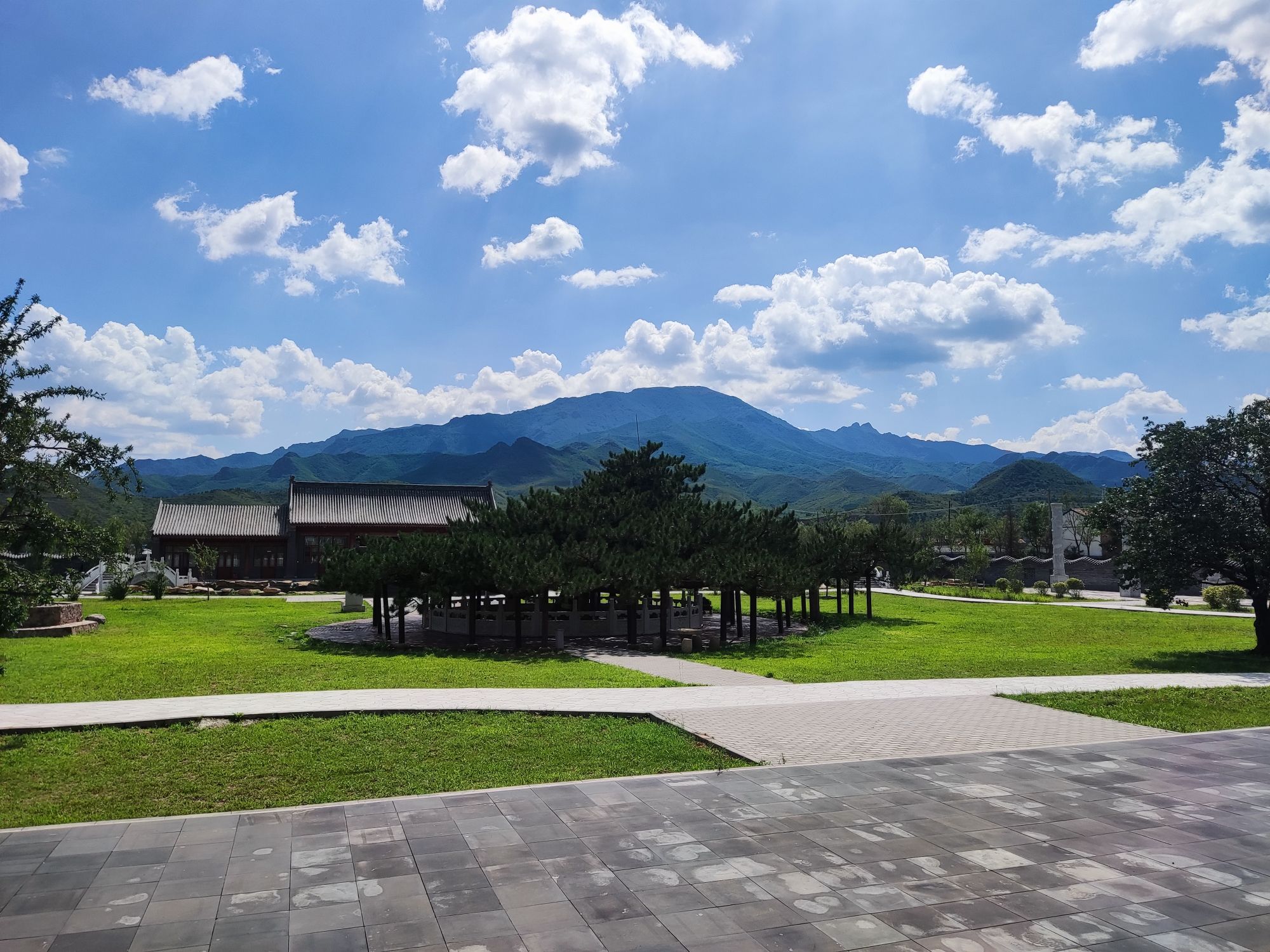 天下第一奇松旅行图片 2