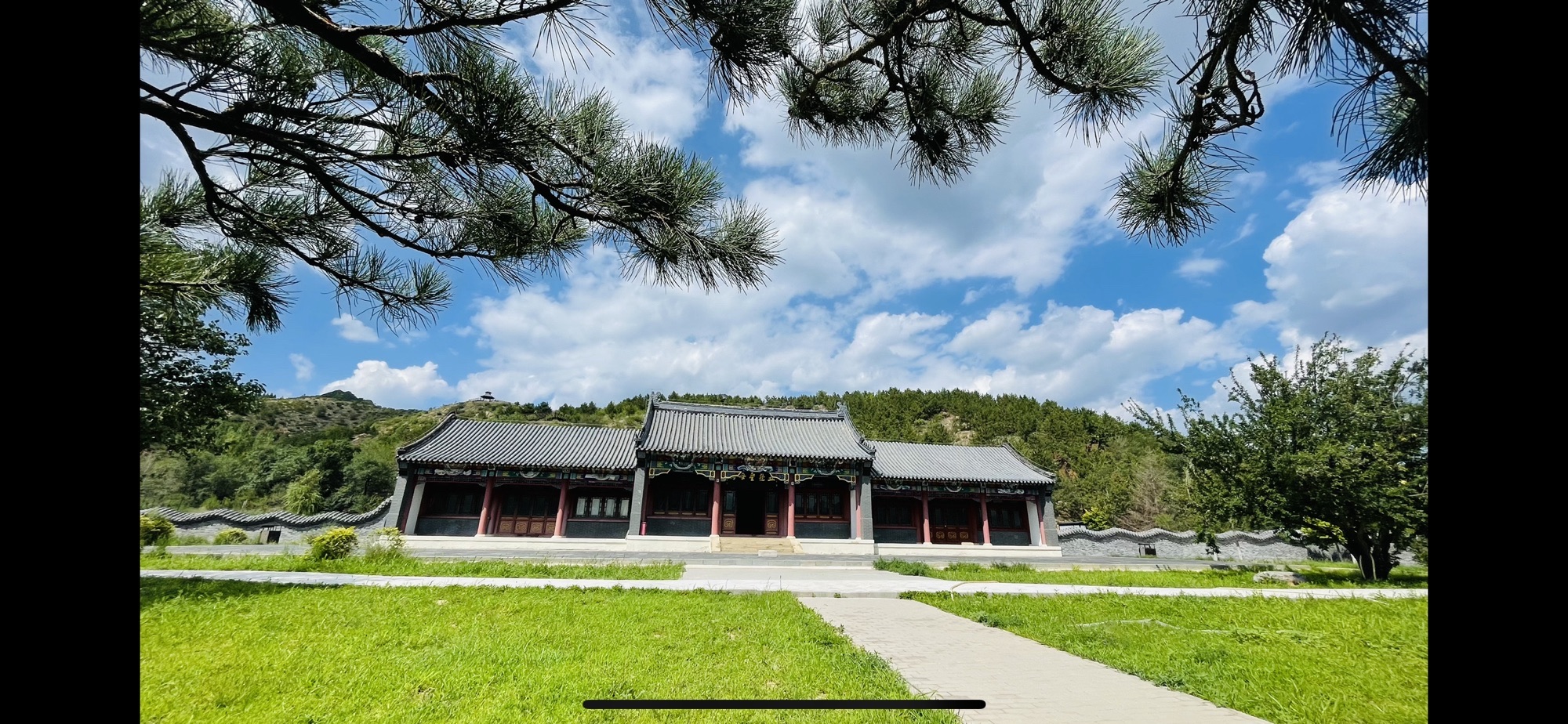 天下第一奇松旅行图片 2