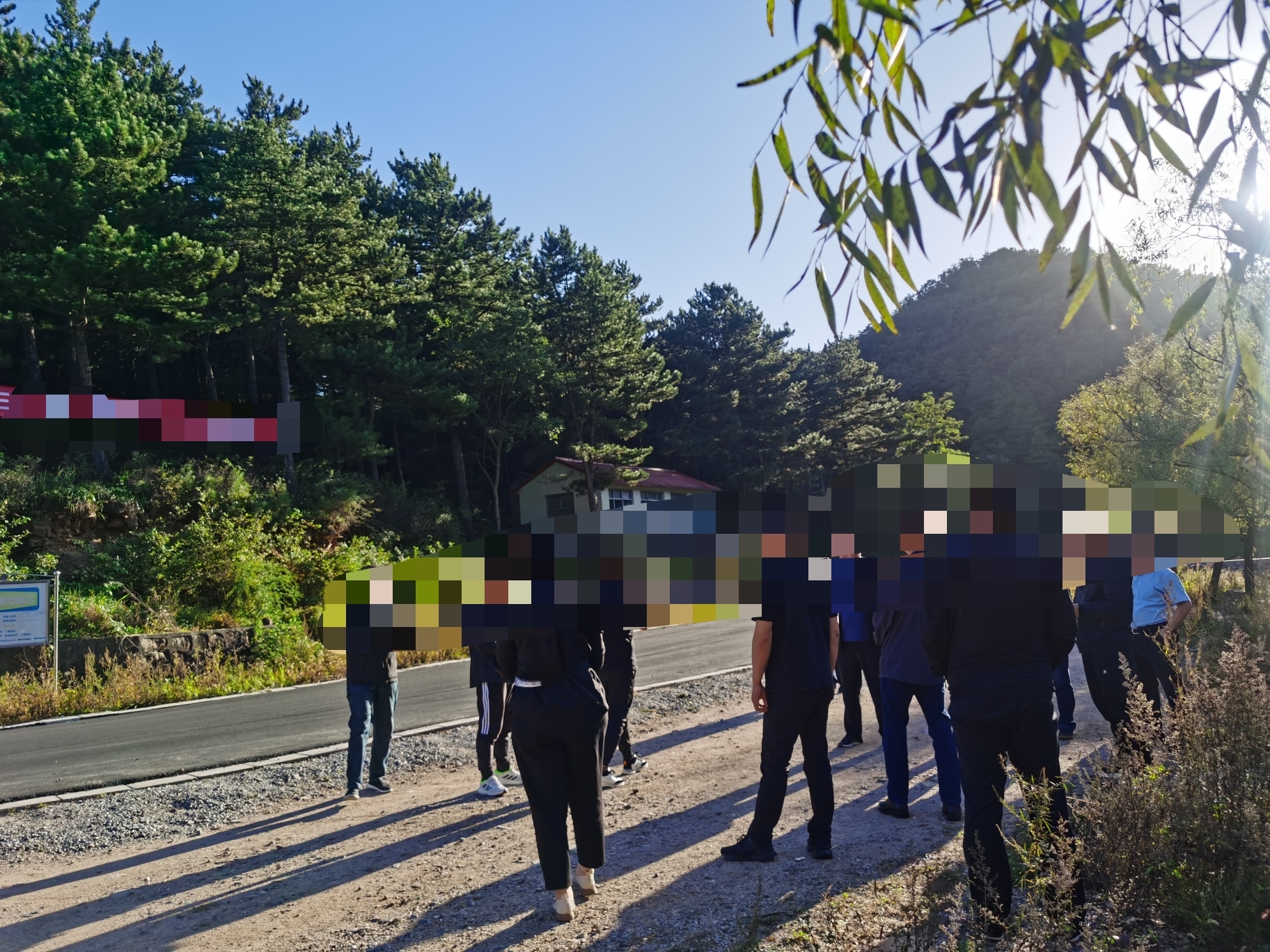 六里坪国家森林公园(暂停开放)旅行图片 3