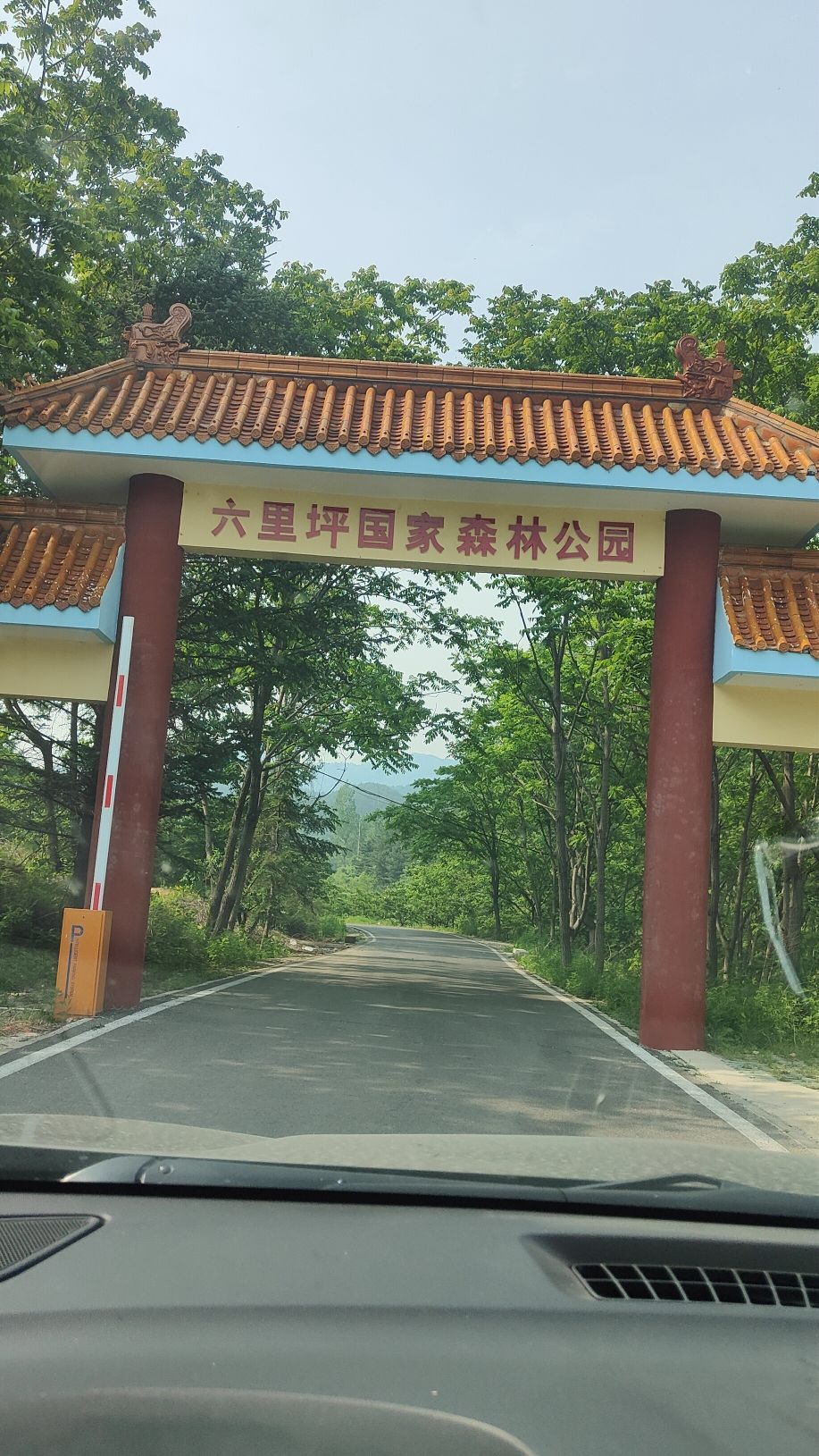 六里坪国家森林公园