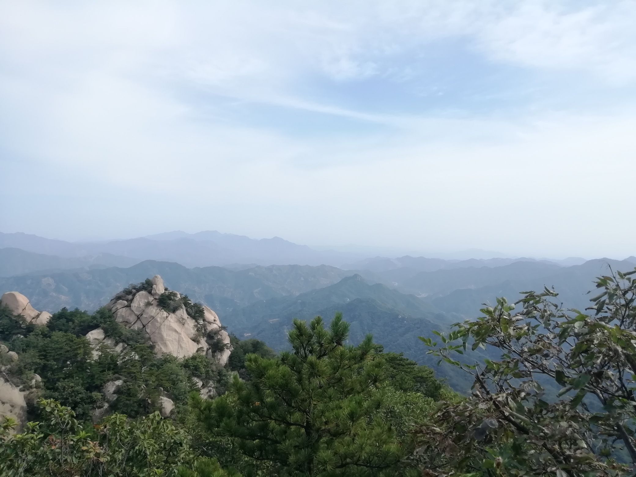 六里坪国家森林公园(暂停开放)旅行图片 1