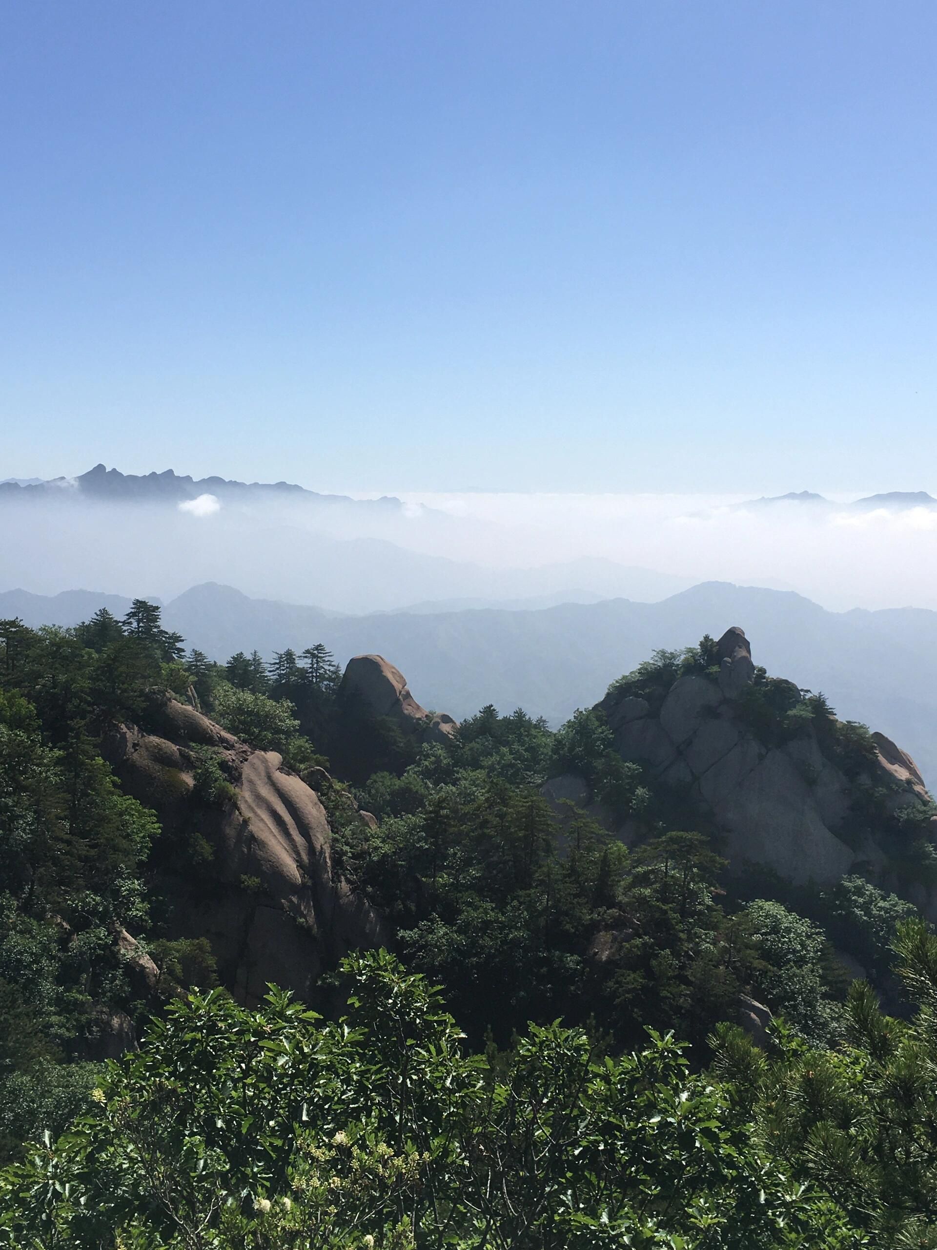 六里坪国家森林公园(暂停开放)旅行图片 2