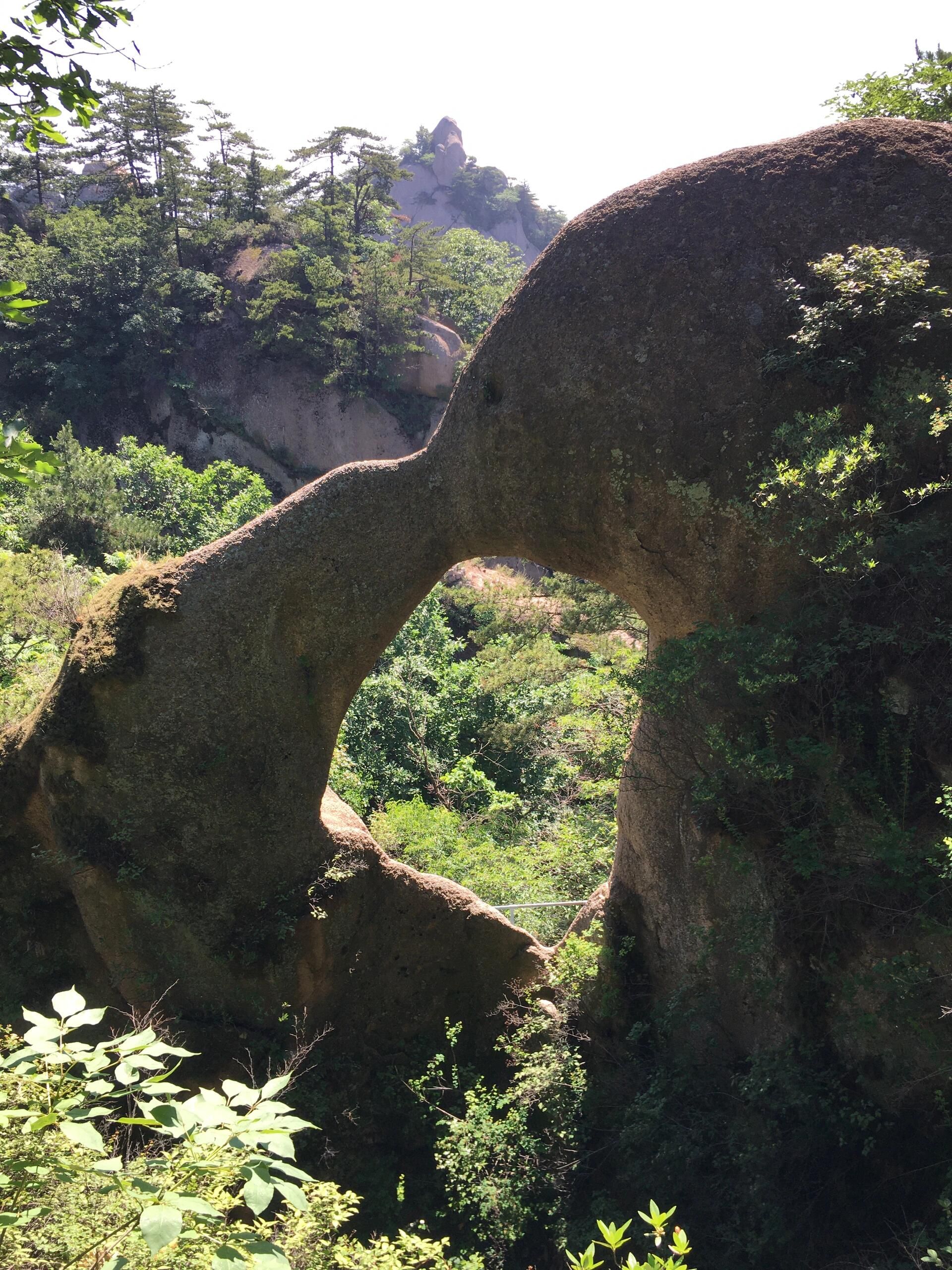 六里坪国家森林公园(暂停开放)旅行图片 3