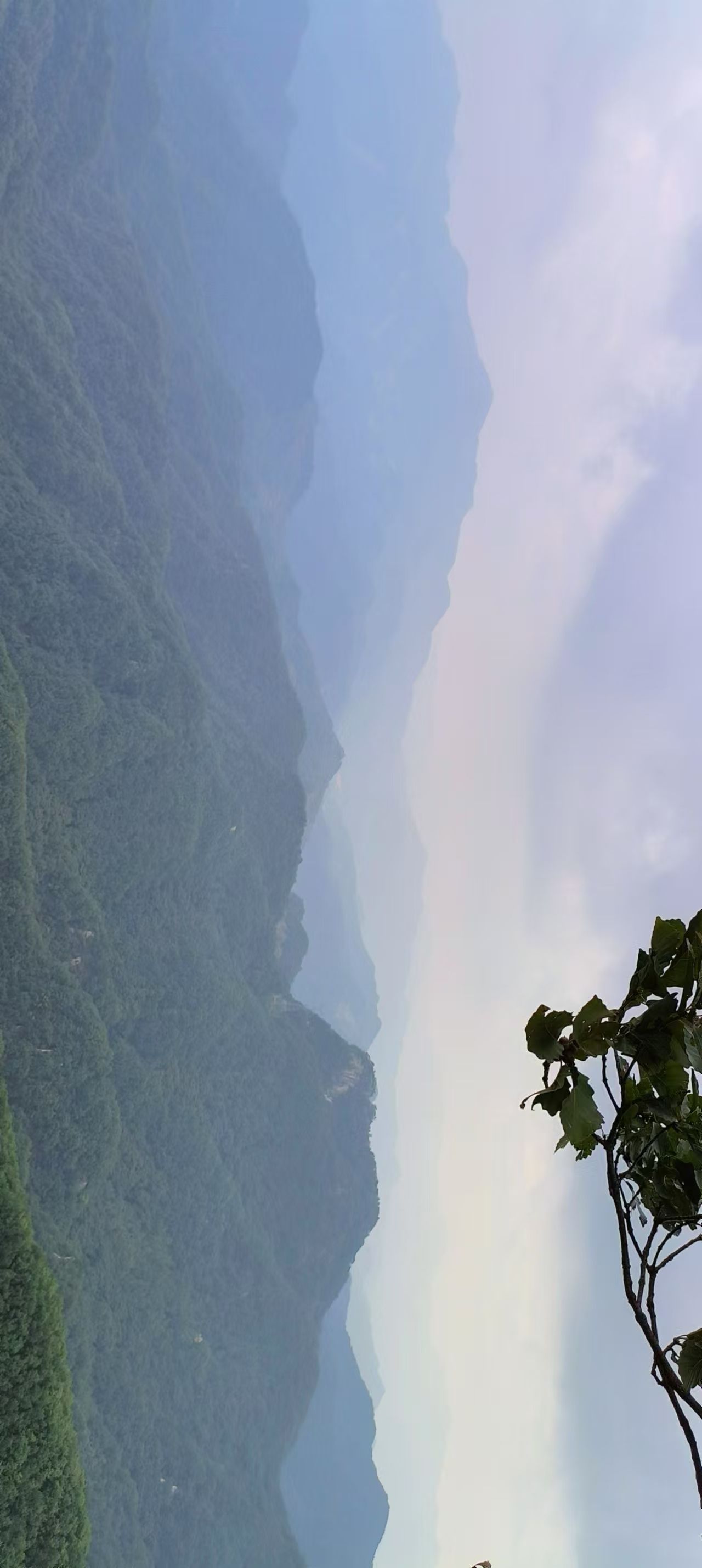 六里坪国家森林公园(暂停开放)旅行图片 2