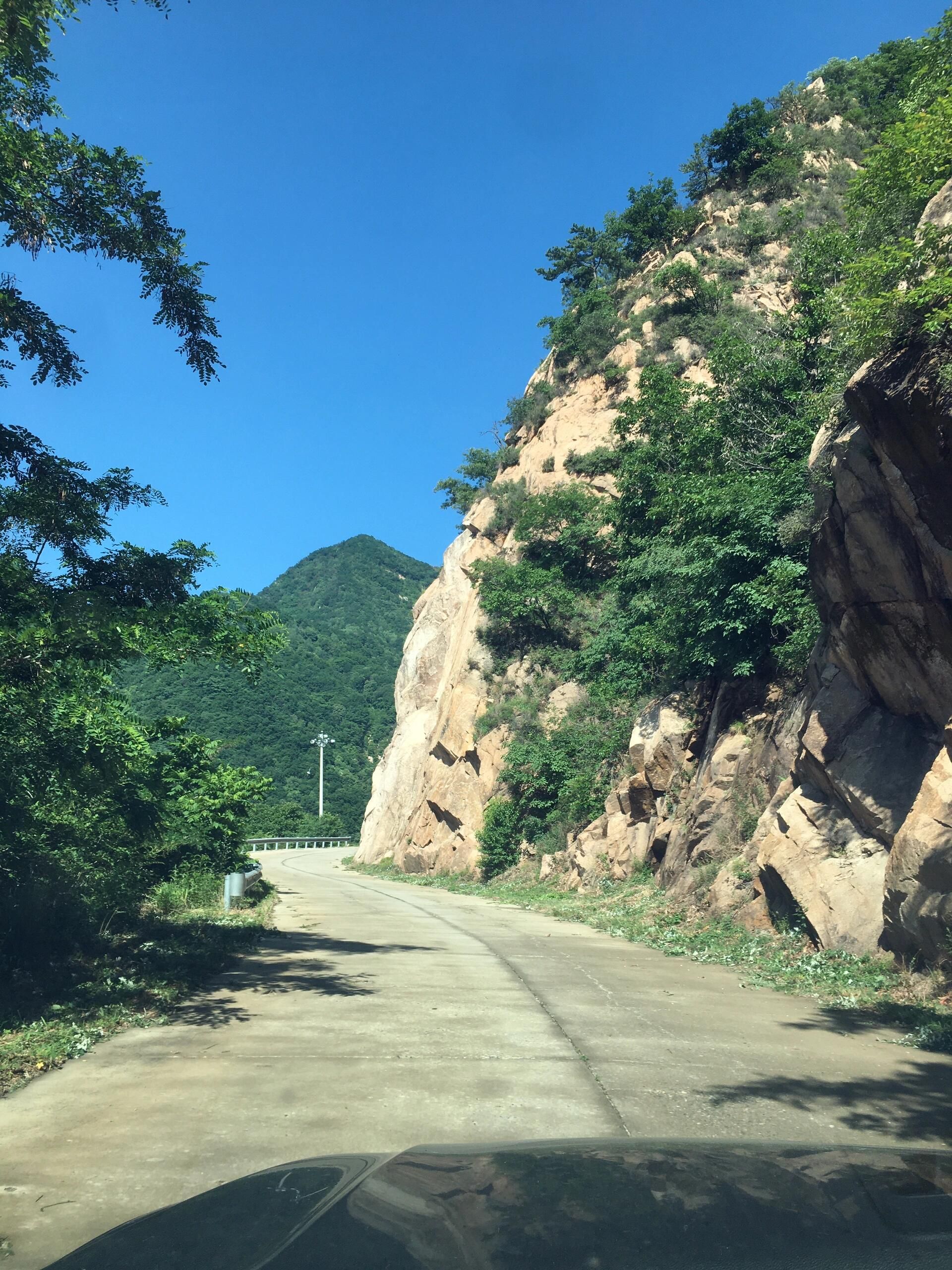 六里坪国家森林公园(暂停开放)旅行图片 1