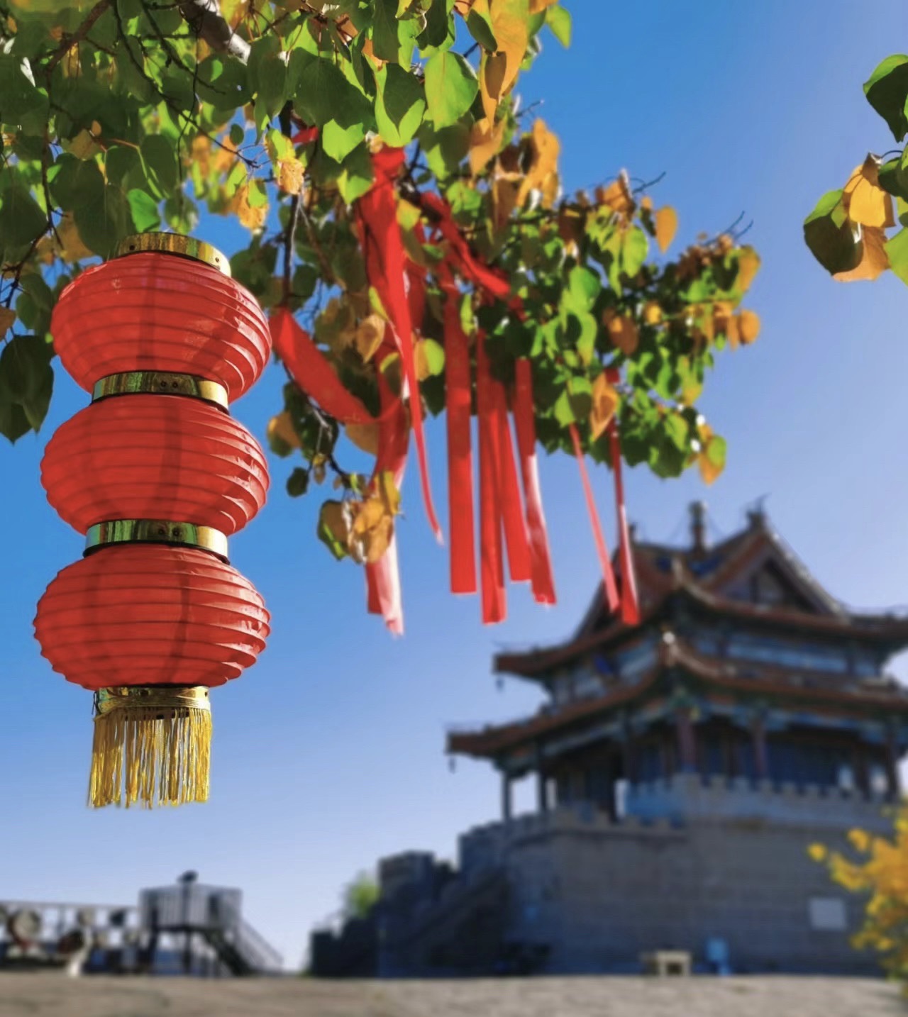 魁星楼旅行图片 1